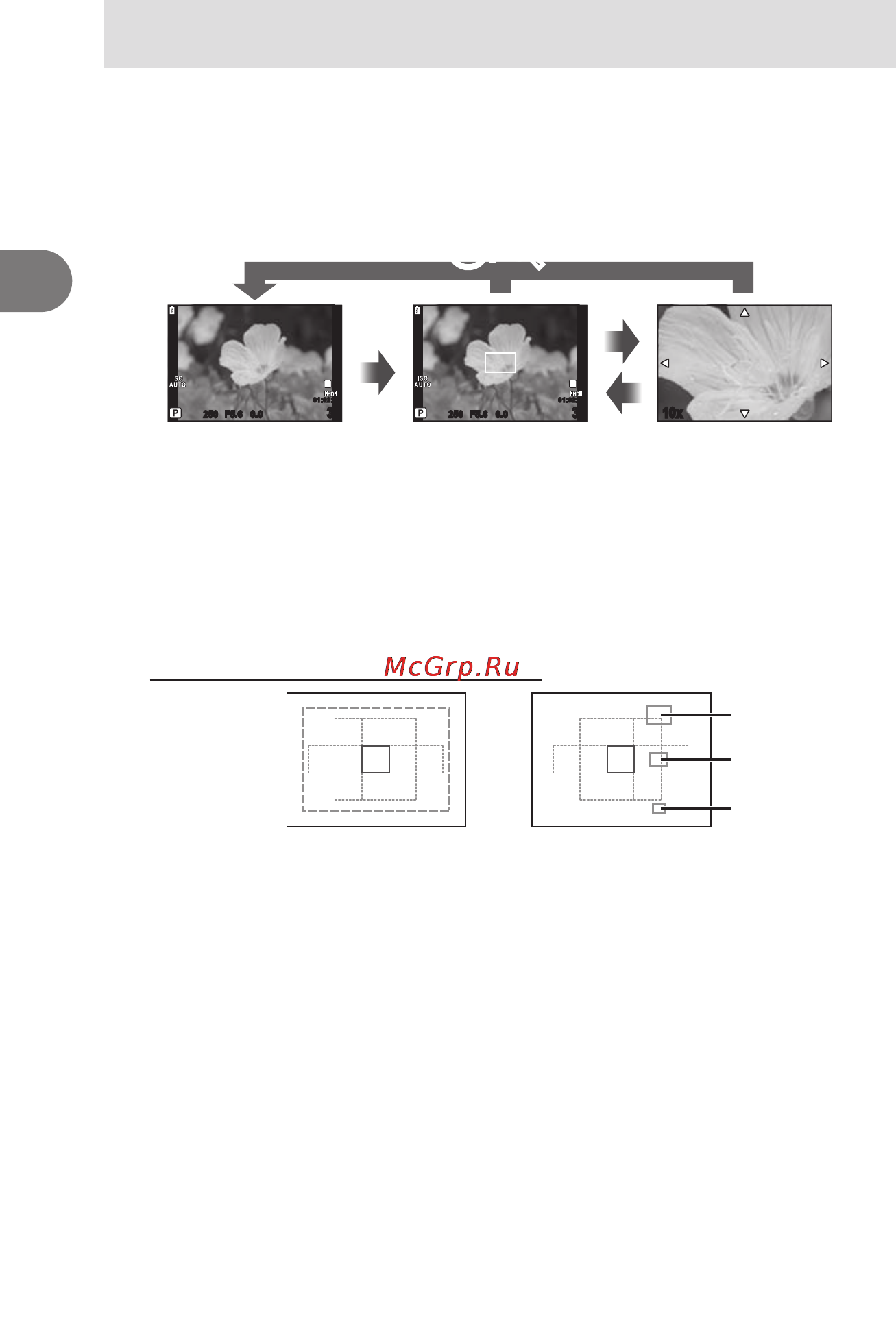 Olympus E-PL2 1442 Kit Wh/S [36/127] Автофокус на рамке увеличения автофокус с увеличением