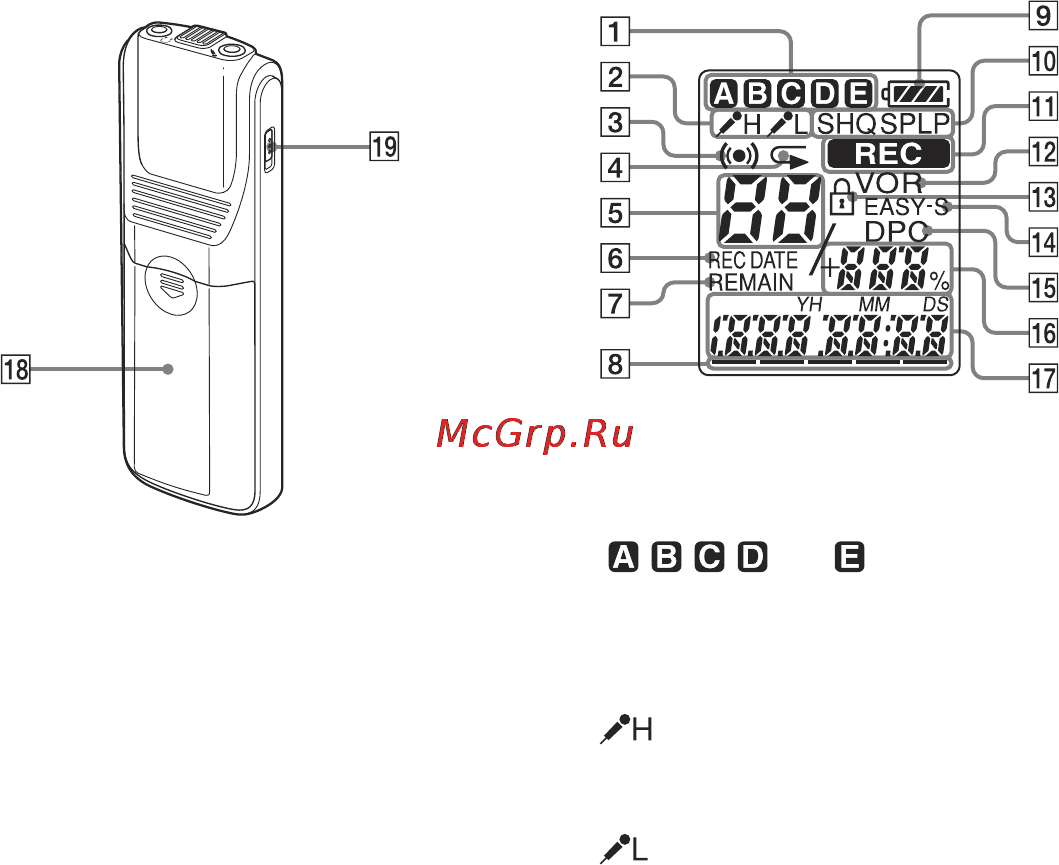 Sony ICD-BX700 [8/76] Вид сзади