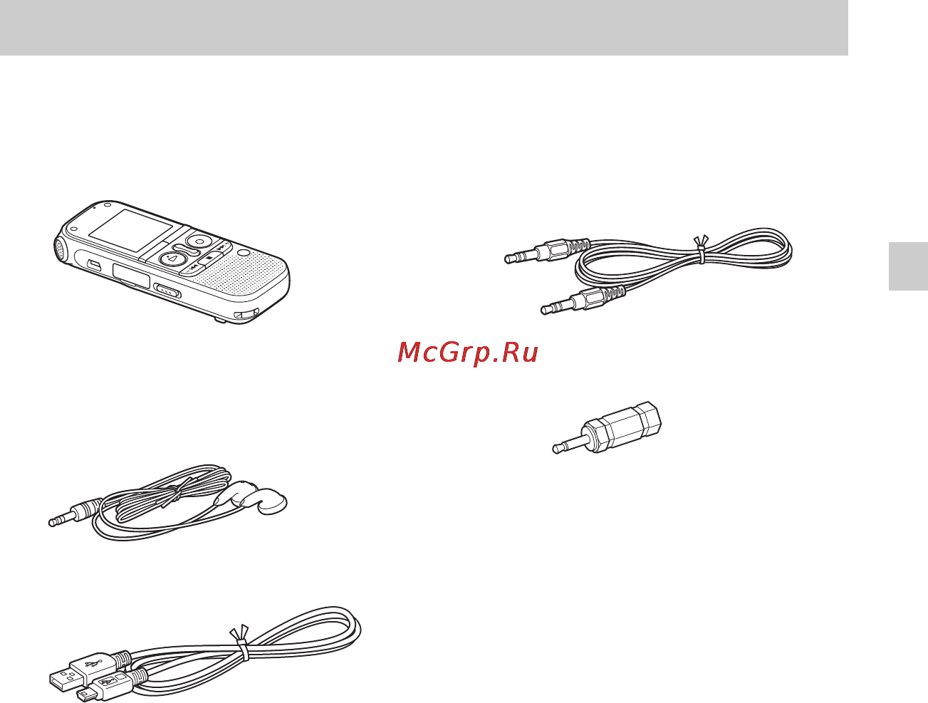 Sony ICD-AX412F [9/171] Начало работы