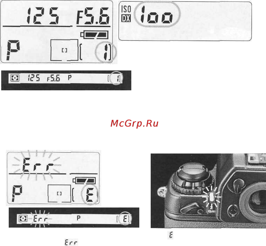 Nikon F5 Инструкция по эксплуатации онлайн [24/167] 28600