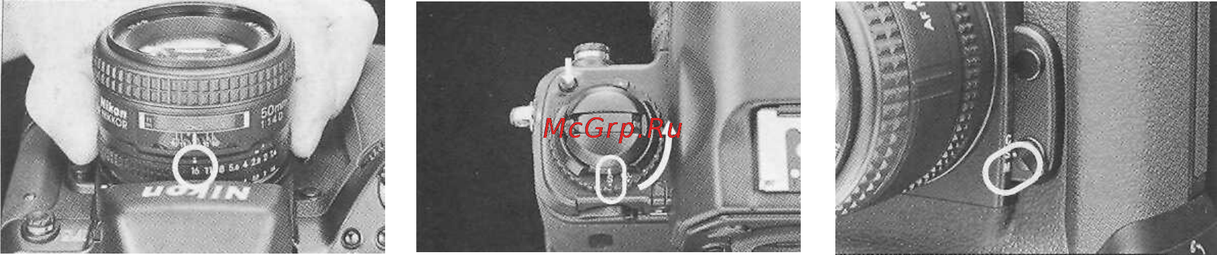 Nikon F5 [28/167] Основы съемки