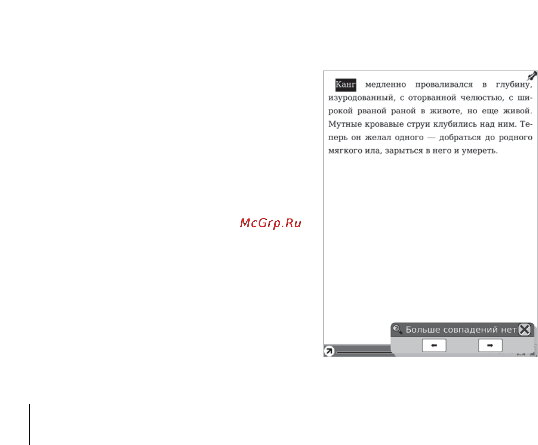 Onyx Boox A60 White Инструкция по эксплуатации онлайн [78/92] 28621