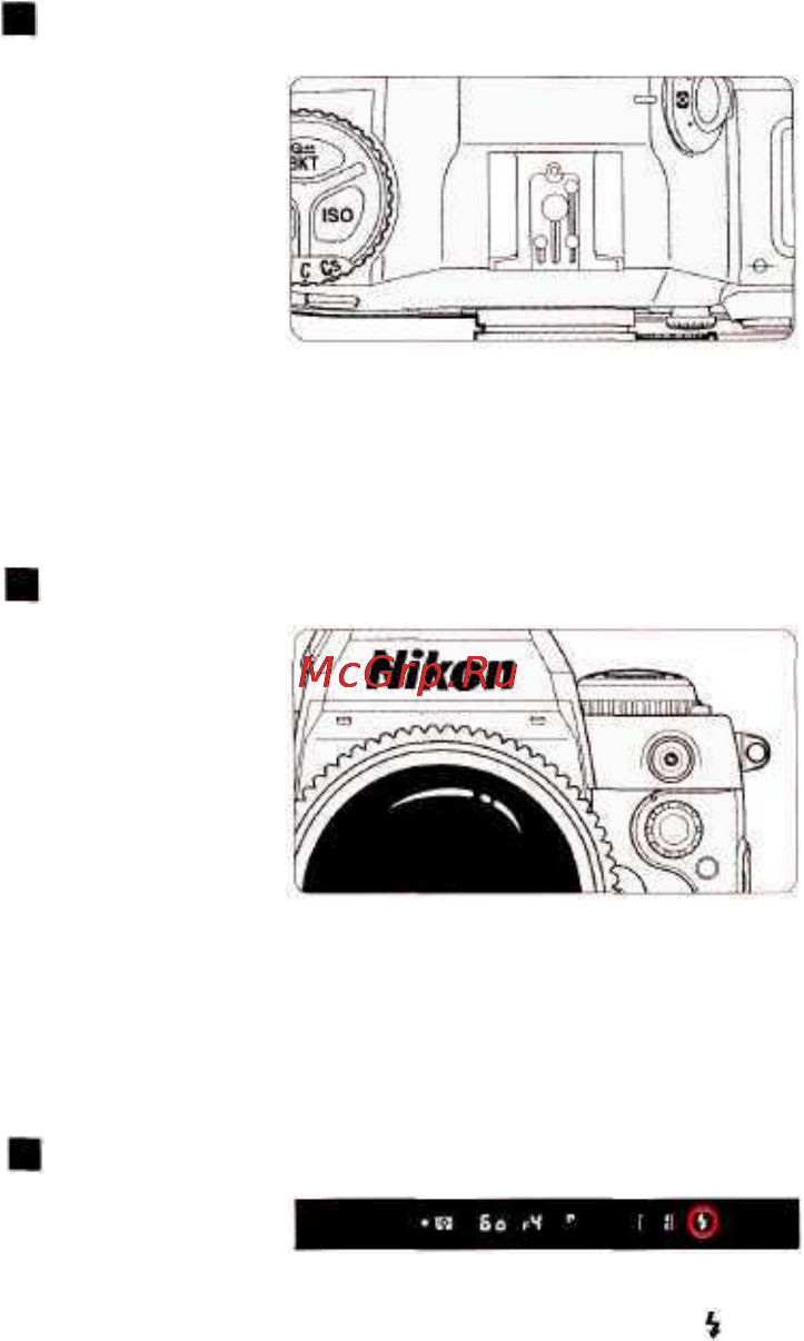Nikon F100 [79/112] Полозки для установки принадлежностей синхроконтакт индикатор готовности вспышки