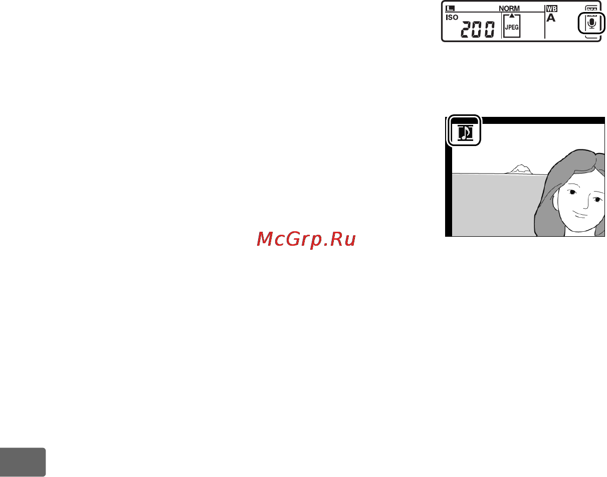 Nikon D3 [278/472] Ххххппп