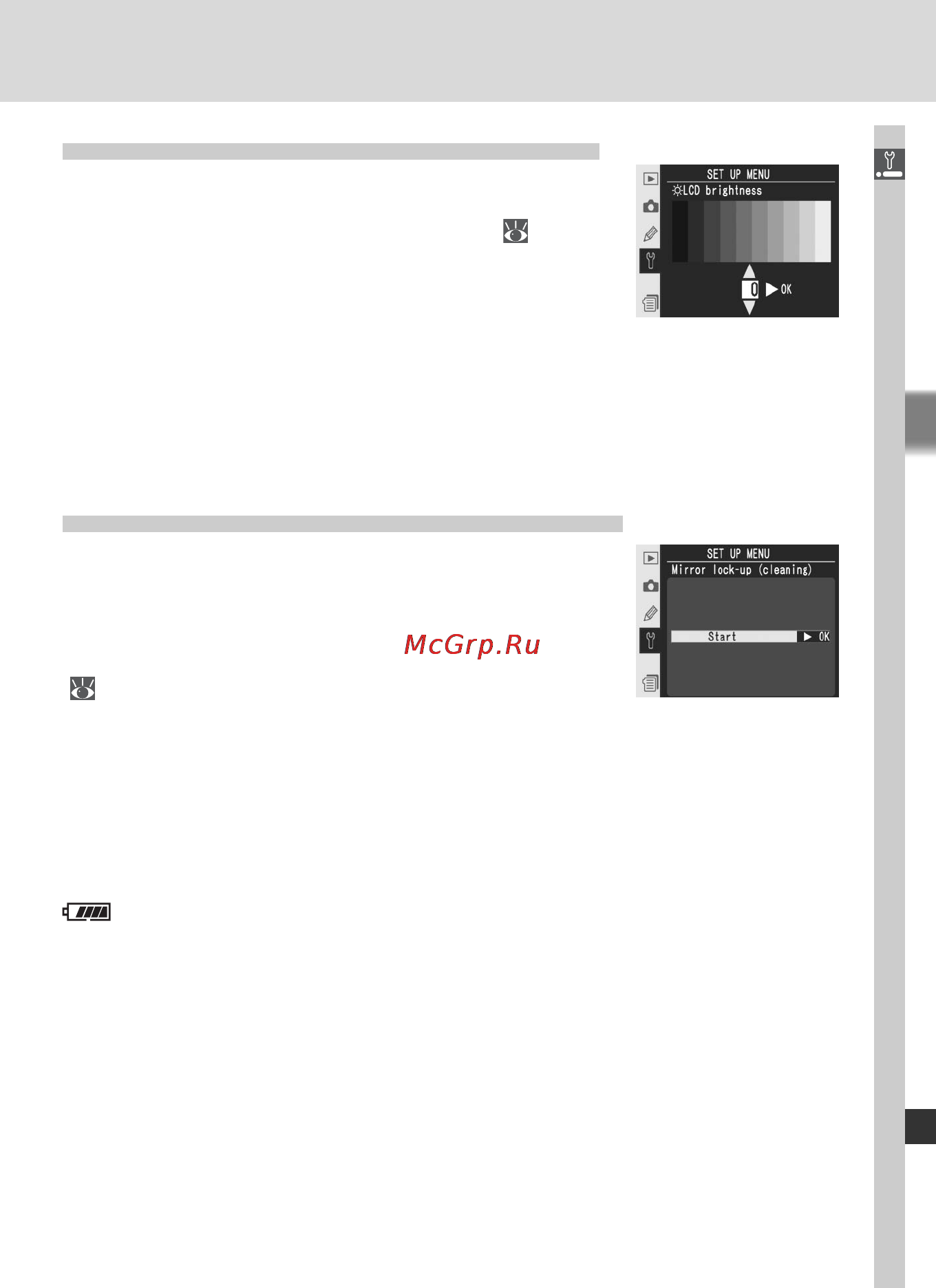 Nikon D2Xs [229/287] Lcd brightness яркость монитора