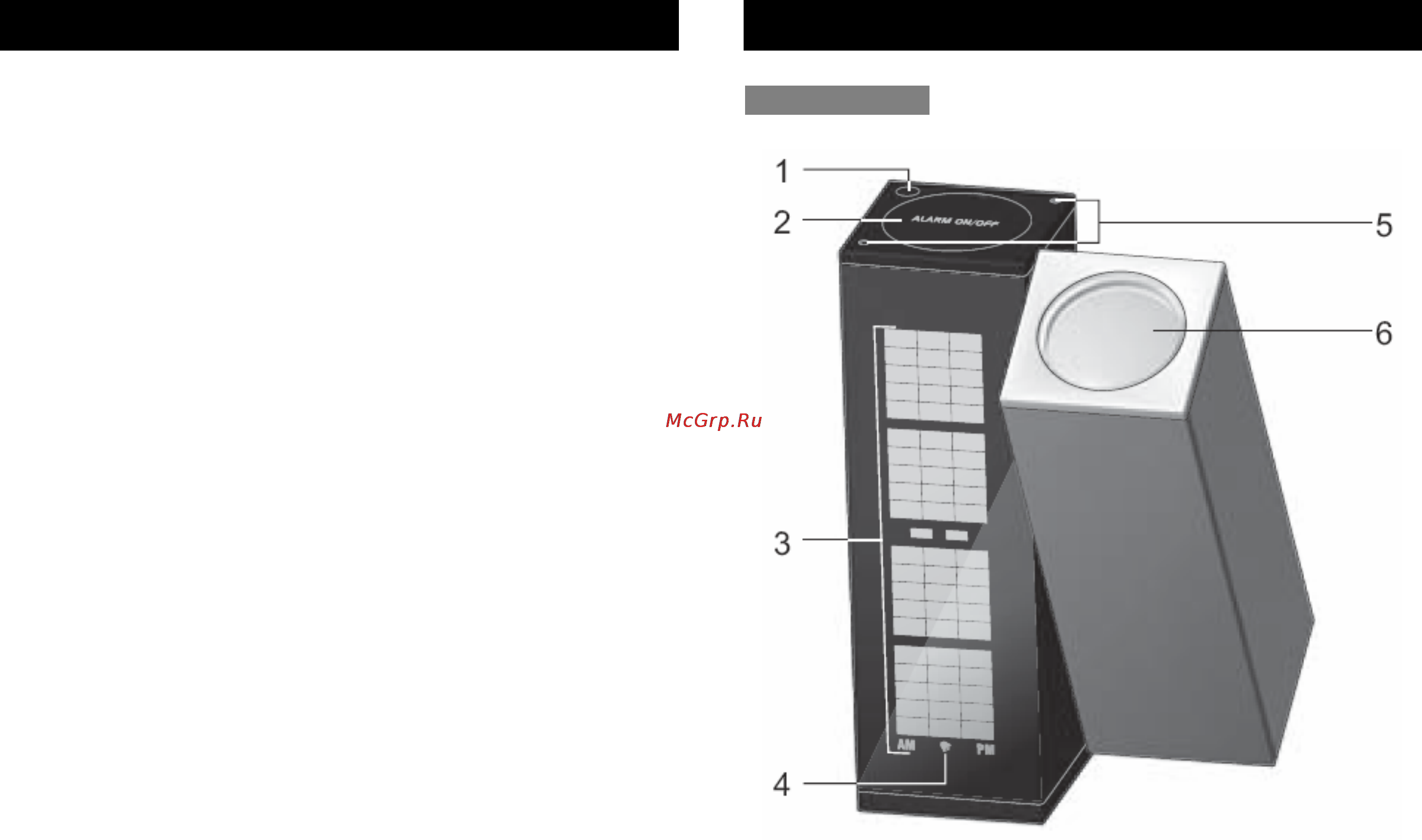 Oregon Scientific DP 100 [3/8] Введение