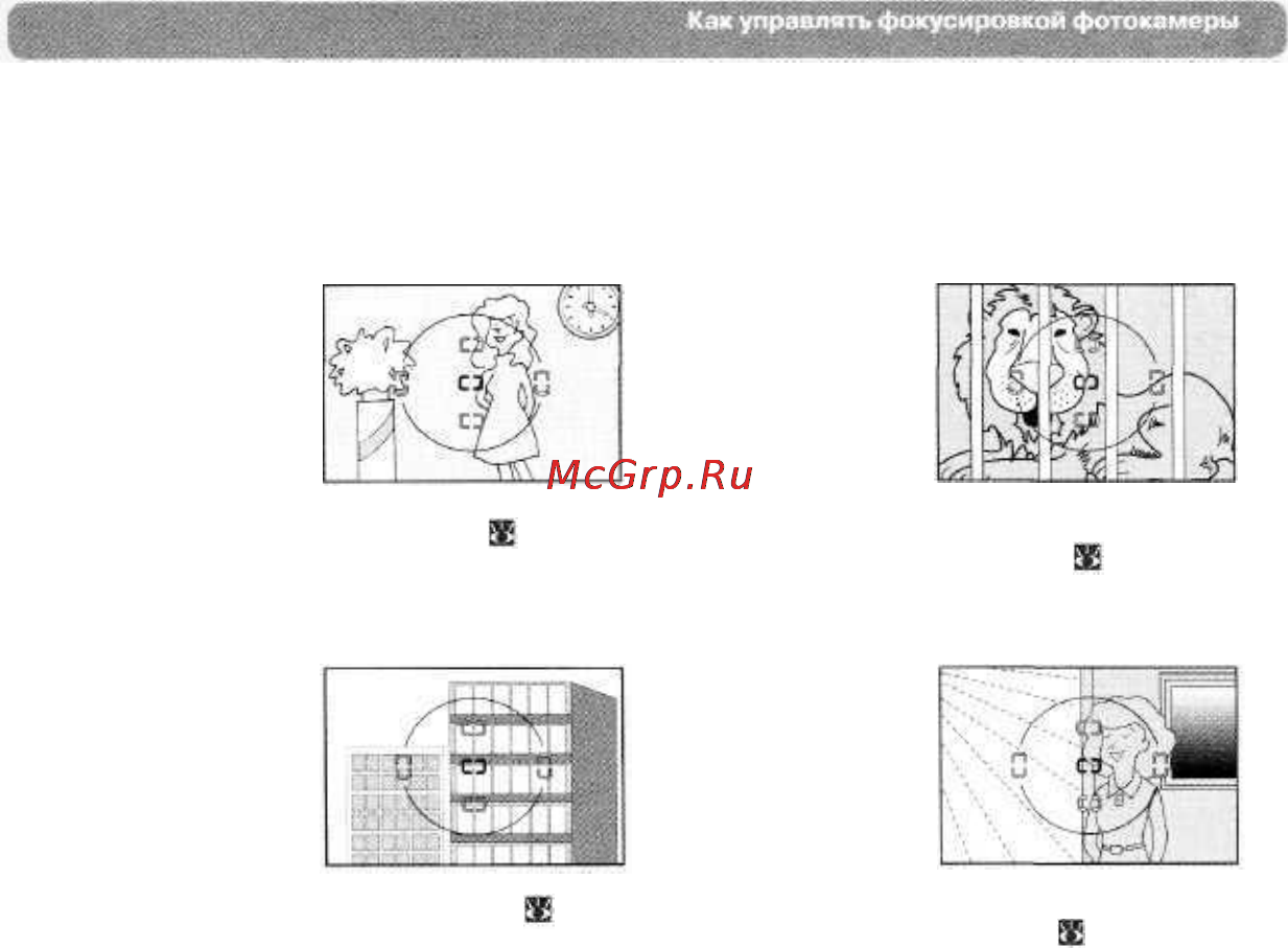 Nikon D100 [83/210] Фокусировки