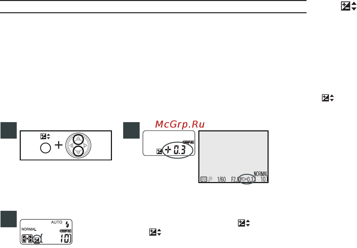 Nikon Coolpix 880 [68/192] Яркие темные и высококонтрастные объекты коррекция экспозиции