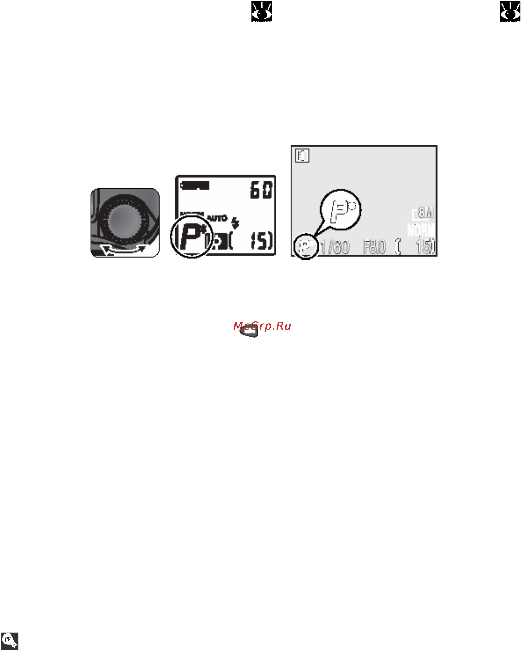 Nikon Coolpix 8700 [51/161] Р программированный авто