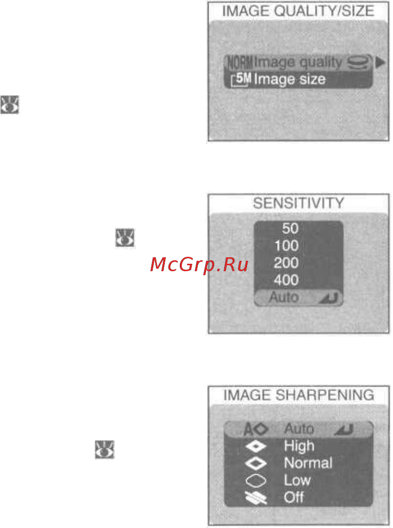 Nikon Coolpix 5400 [109/171] Резкость изображения image sharpening