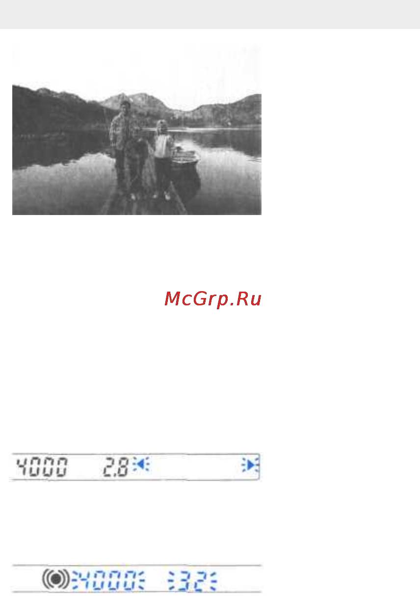Minolta Dynax 600si Classic [39/94] Автоматический режим program