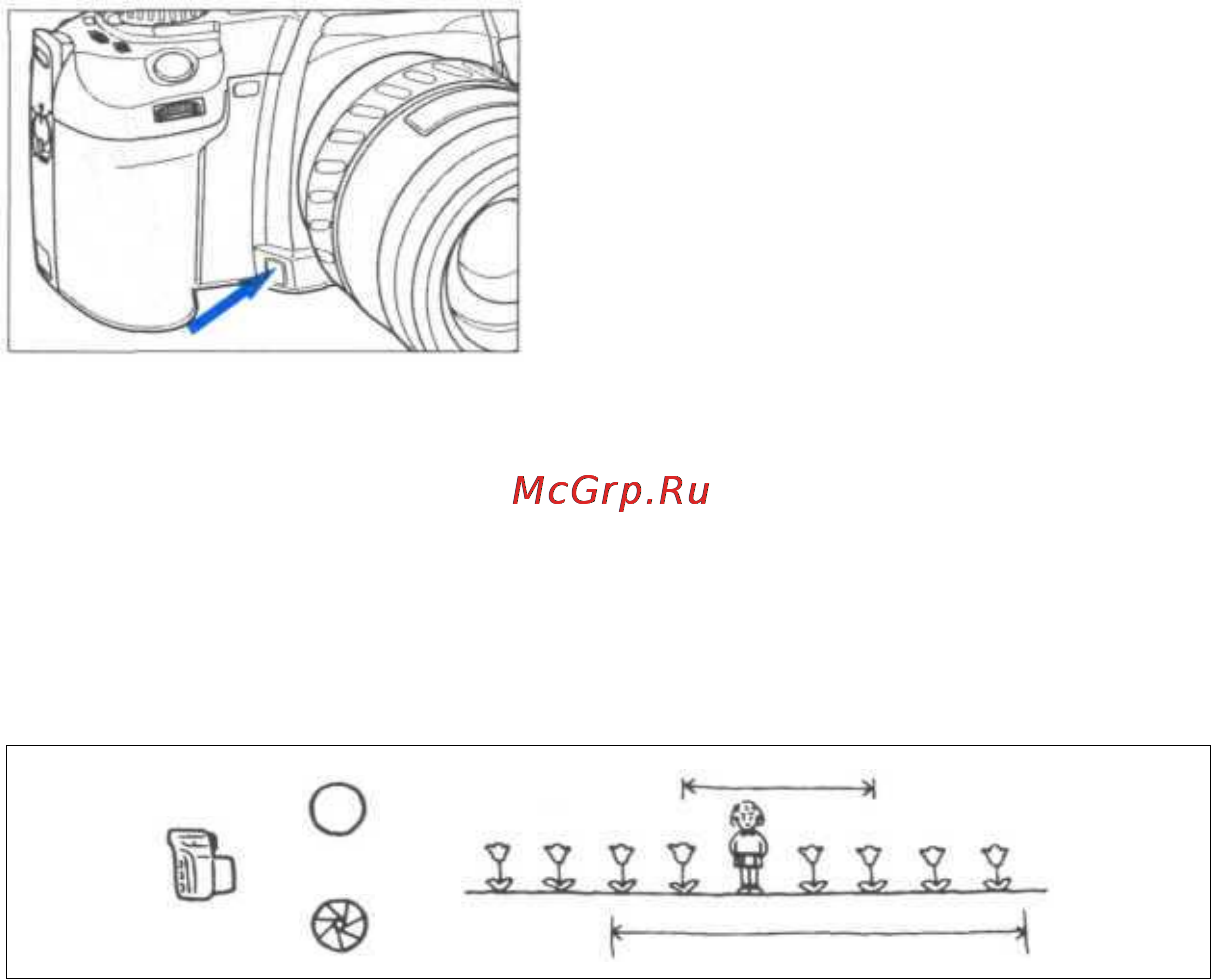 Minolta Dynax 600si Classic [82/94] Просмотр глубины резкости
