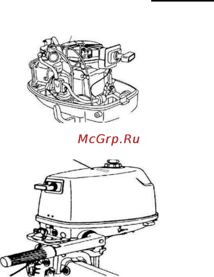 Beluga 5M [4/47] Шильды