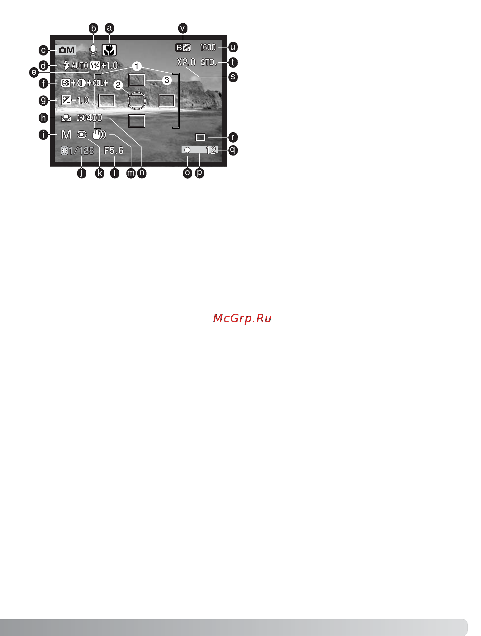Minolta Dimage F300 [55/128] Дисплей многофункционального режима съёмки