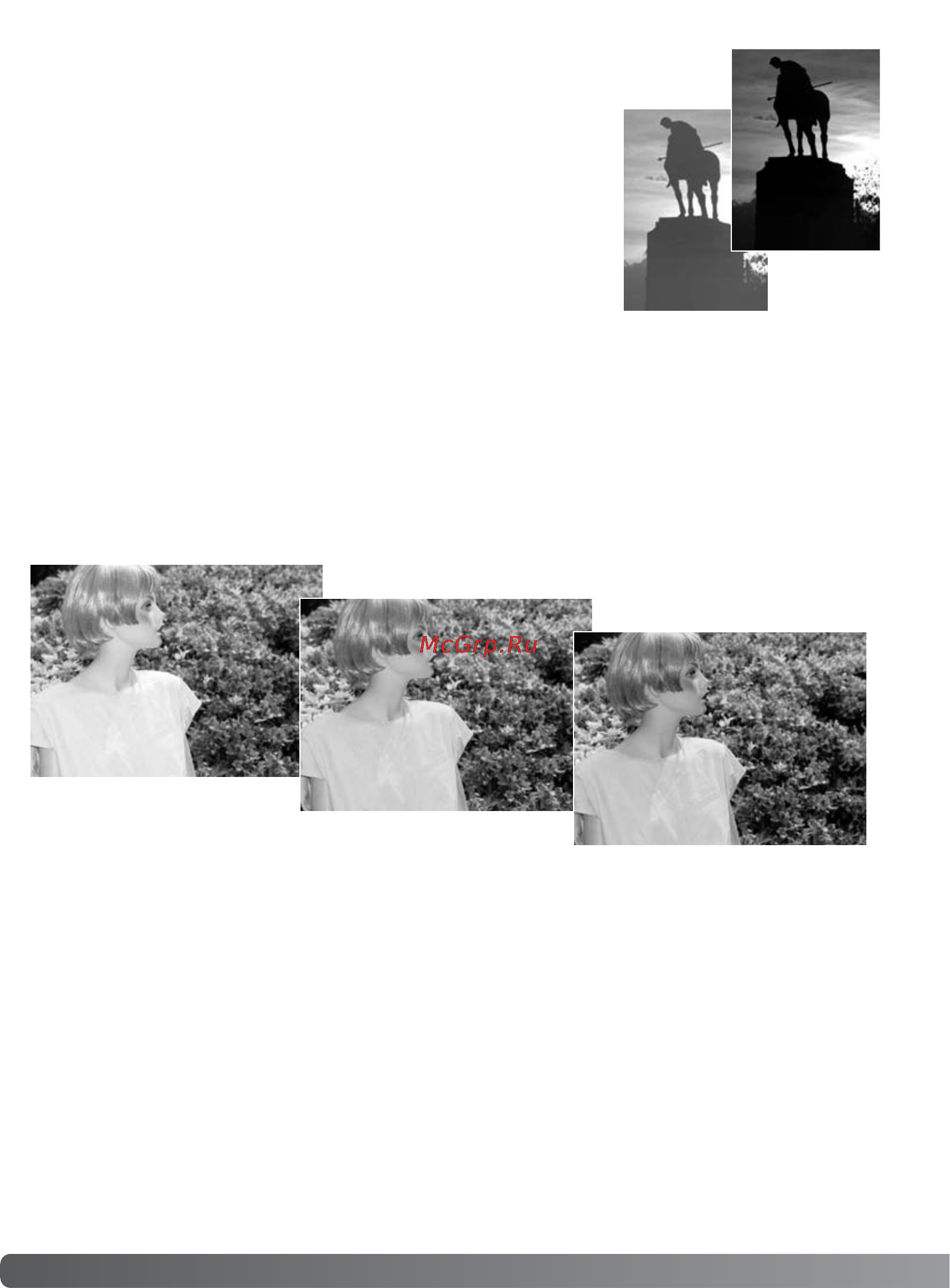 Minolta Dimage F300 [74/128] Корректировка экспозиции и экспозиции вспышки