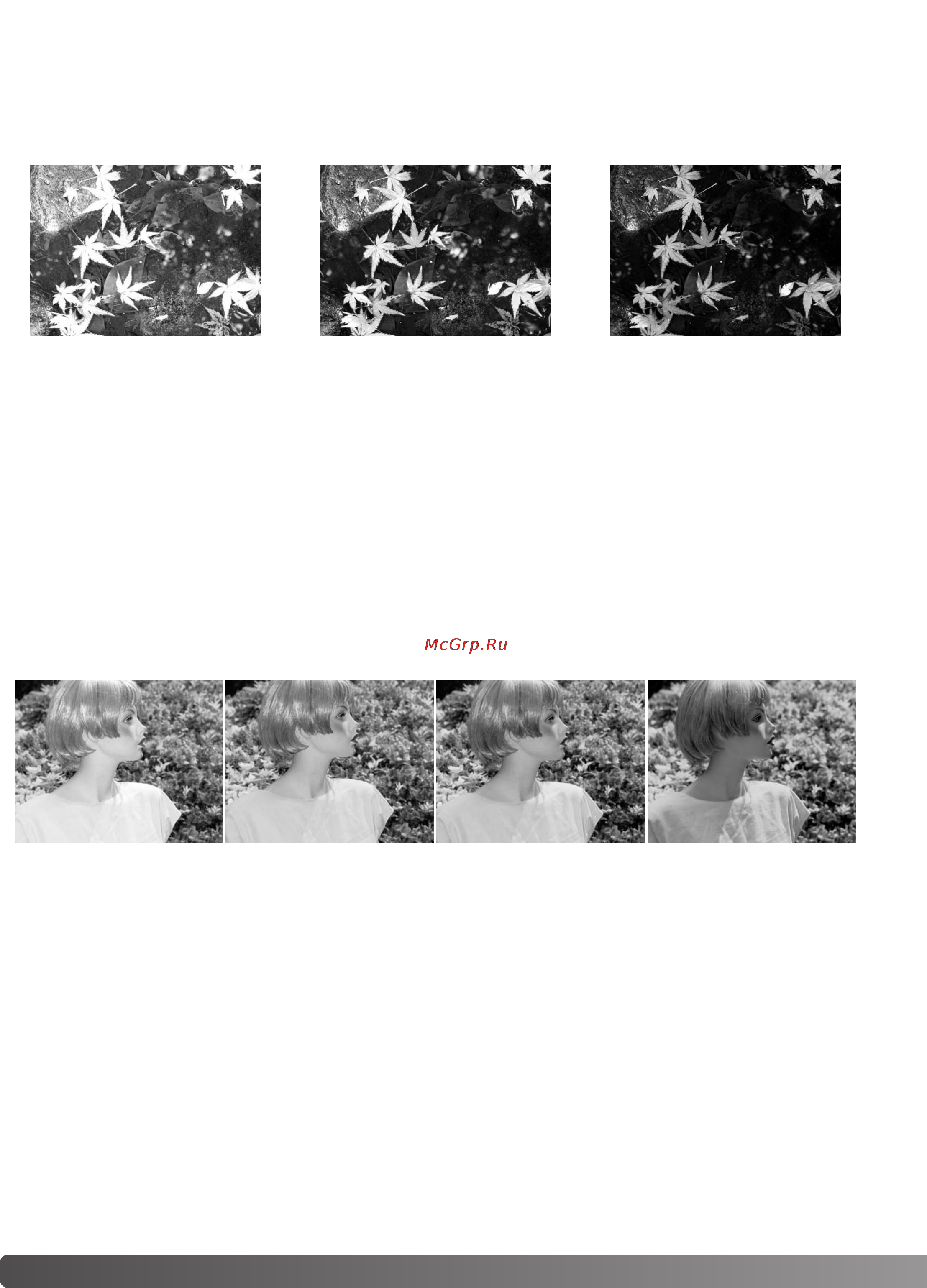 Minolta Dimage A1 [110/170] О коррекции экспозиции и коррекции экспозиции вспышки
