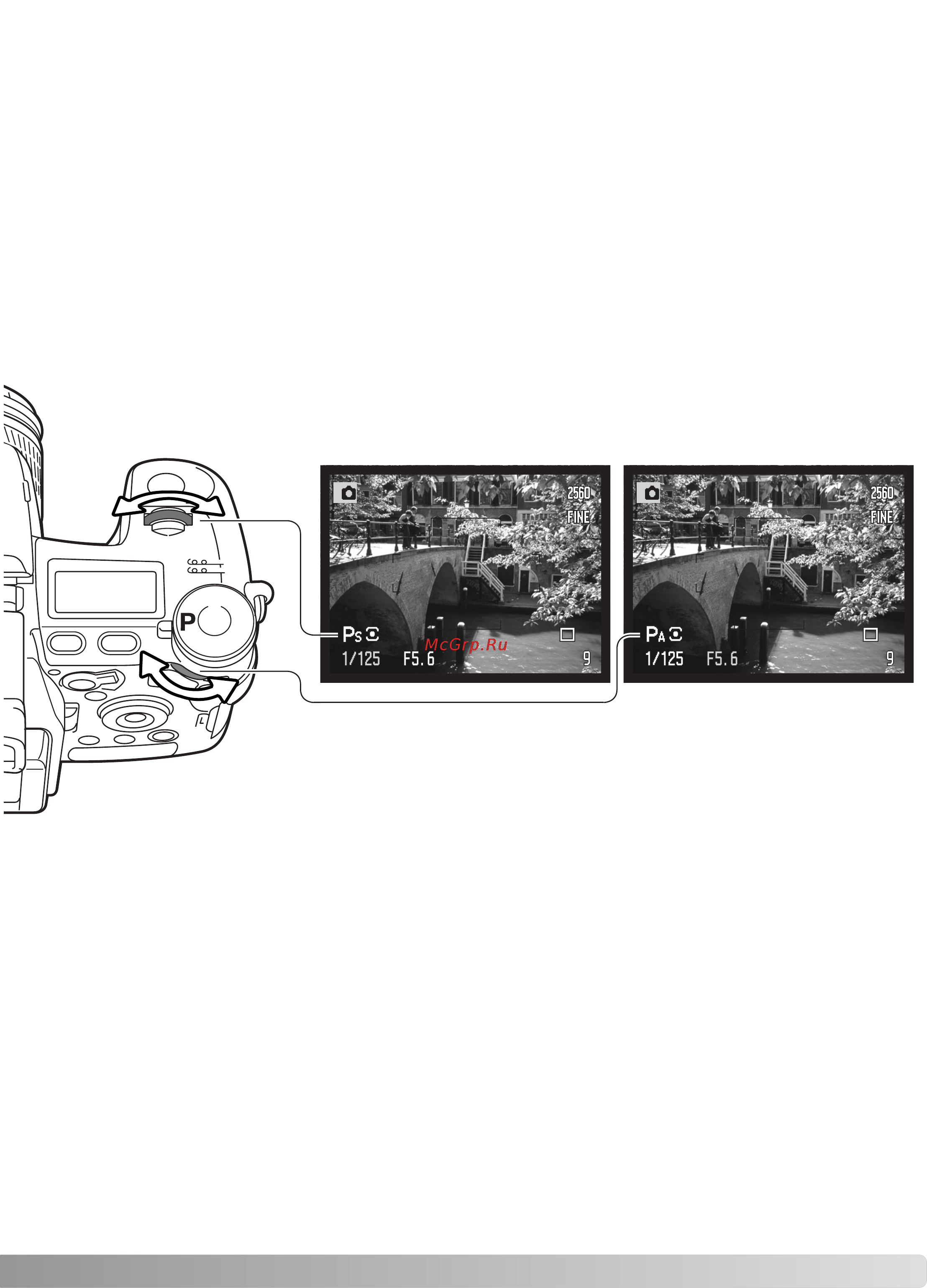 Minolta Dimage A1 [51/170] Программный режим р
