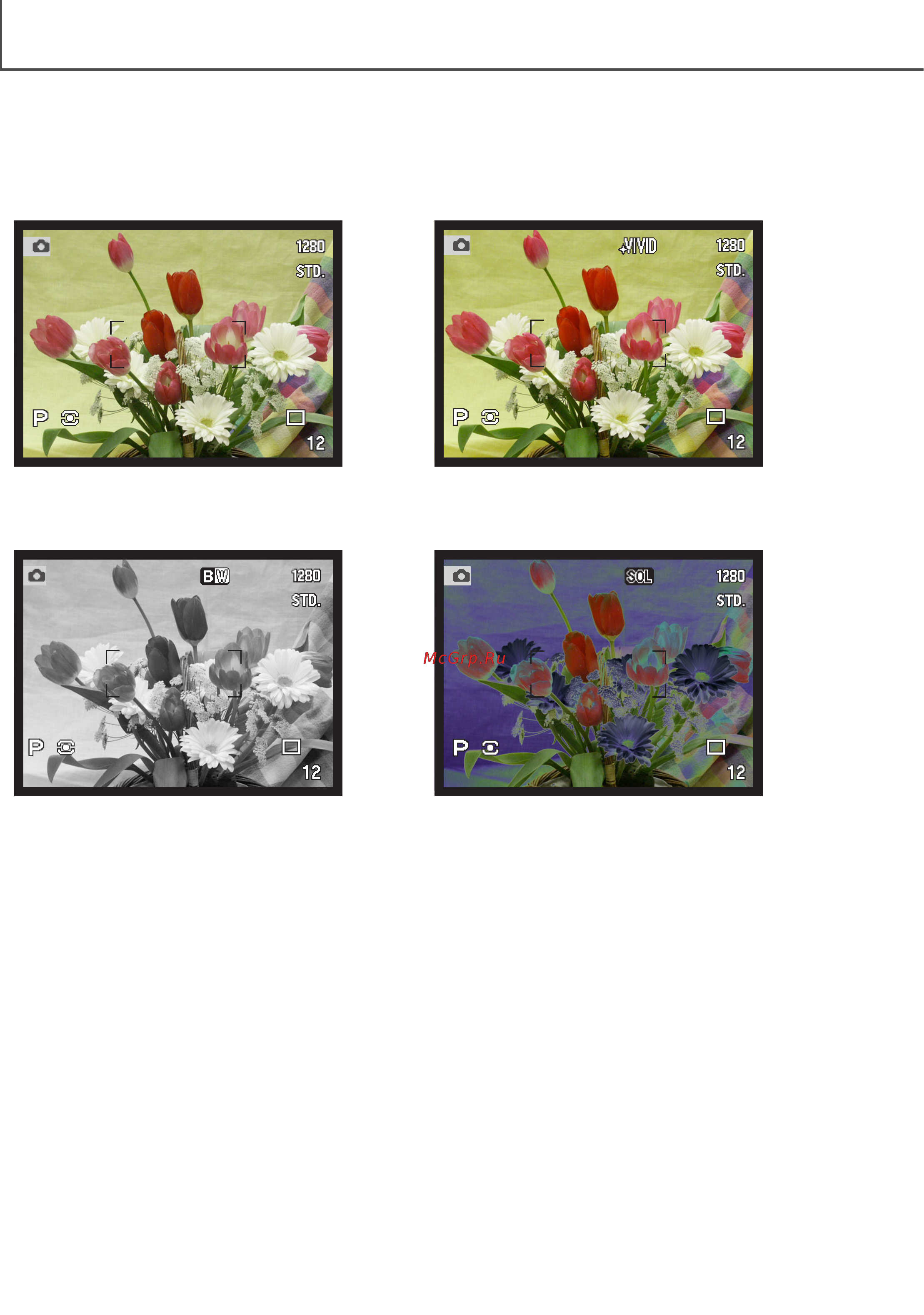Minolta Dimage 7i [2/164] Цветовой режим
