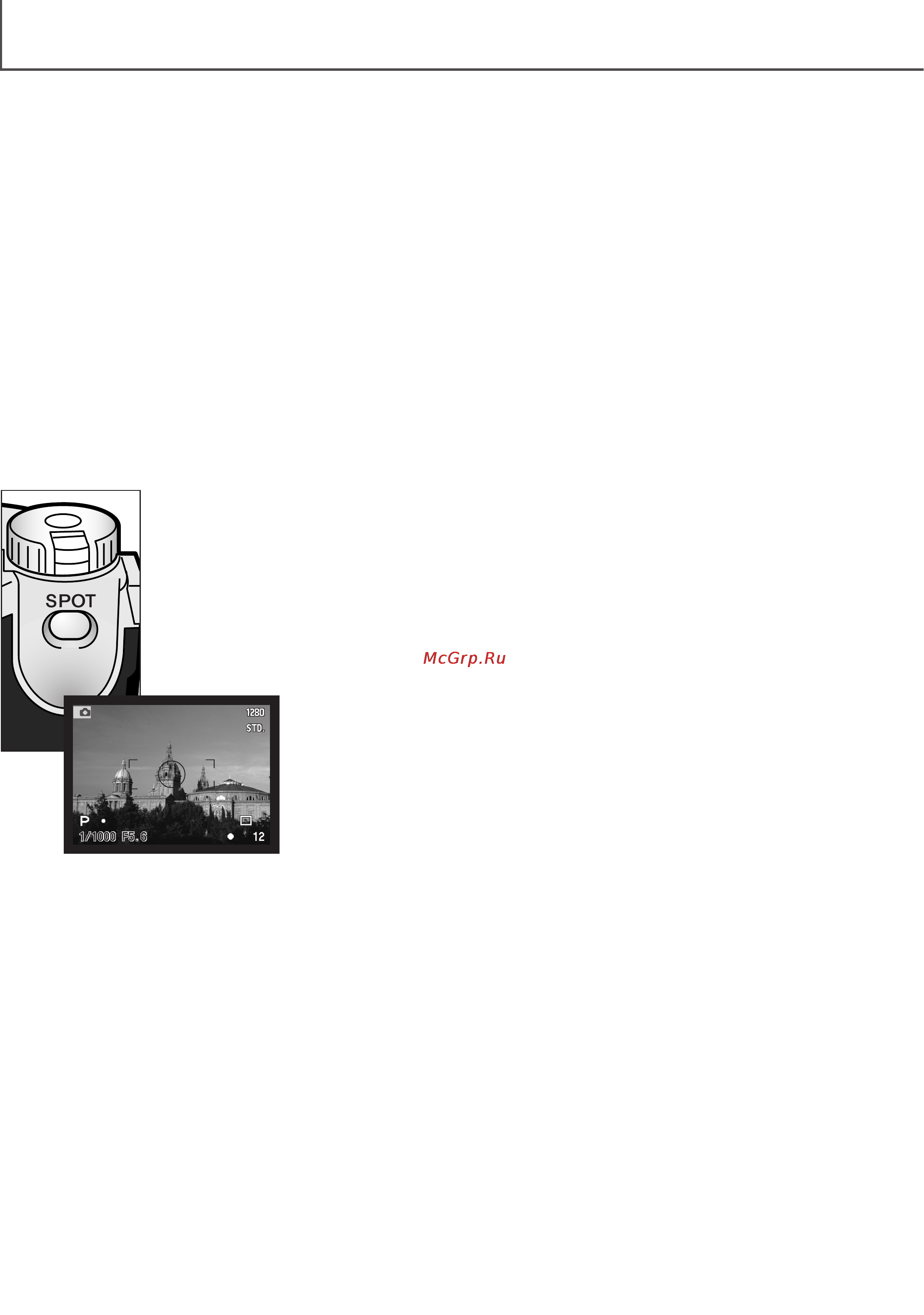 Minolta Dimage 7i [40/164] Режим записи профессиональные функции
