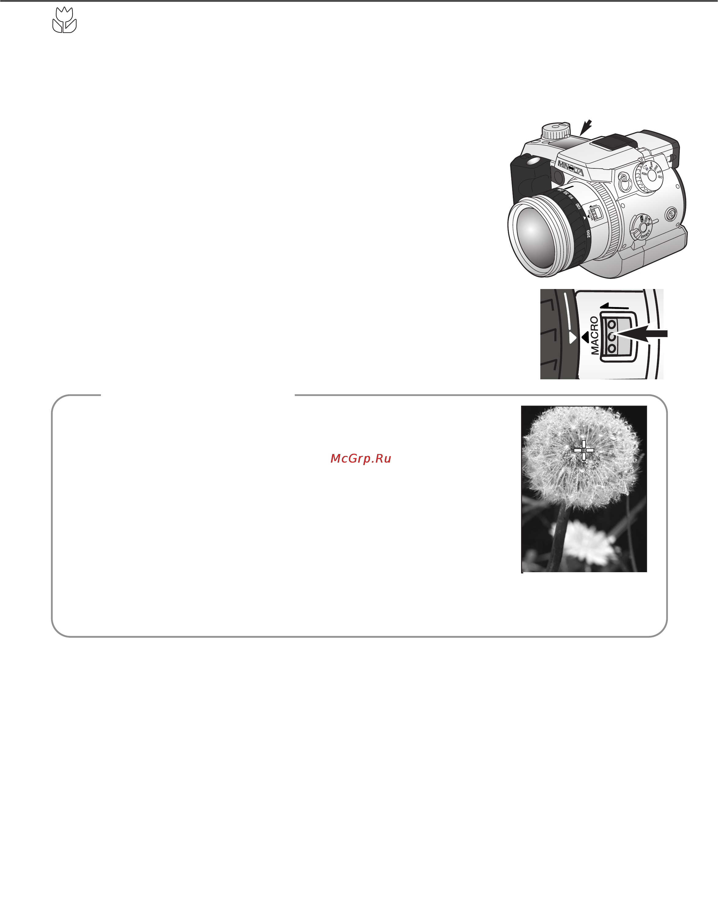 Minolta Dimage 7i [77/164] Советы по съёмке
