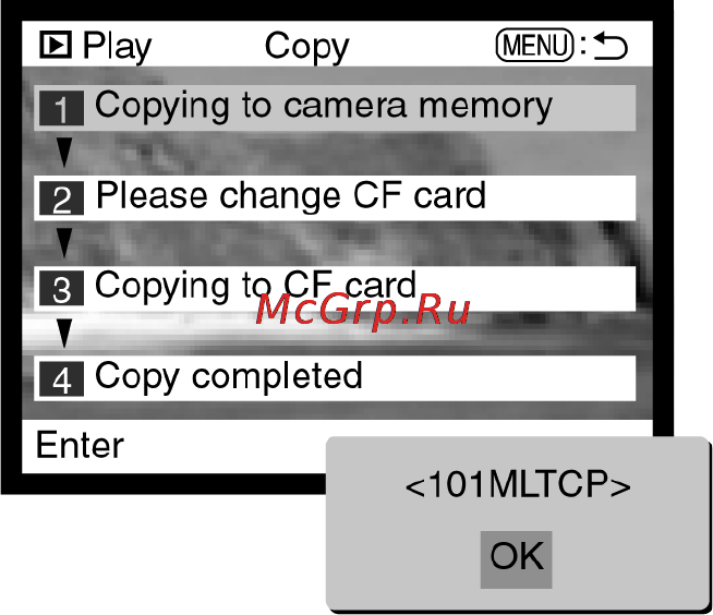 Minolta Dimage 5 Инструкция по эксплуатации онлайн [87/113] 31258