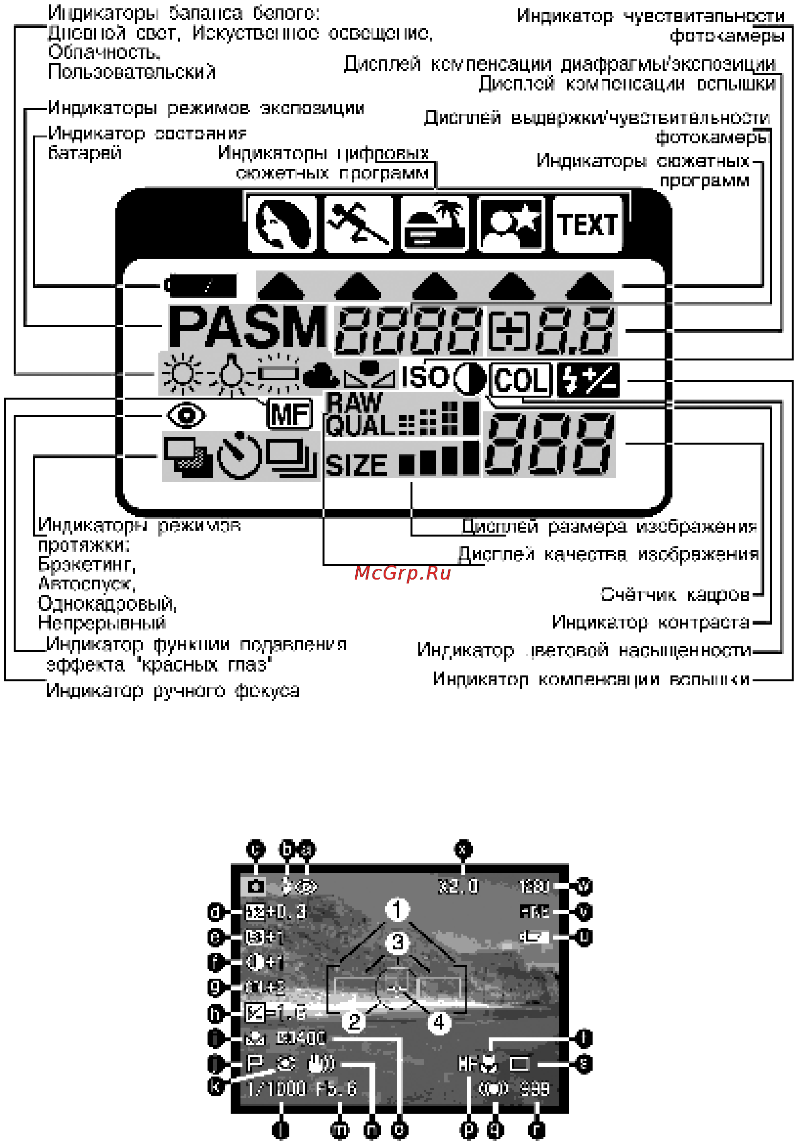 Minolta Dimage 5 Инструкция по эксплуатации онлайн [9/113] 31258