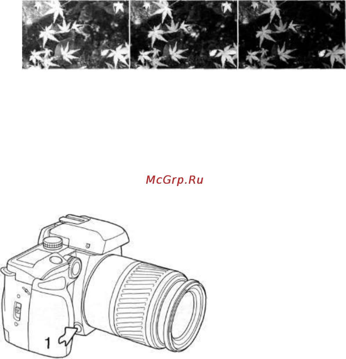 Konica Minolta Dynax 60 [43/84] Просмотр глубины резкости