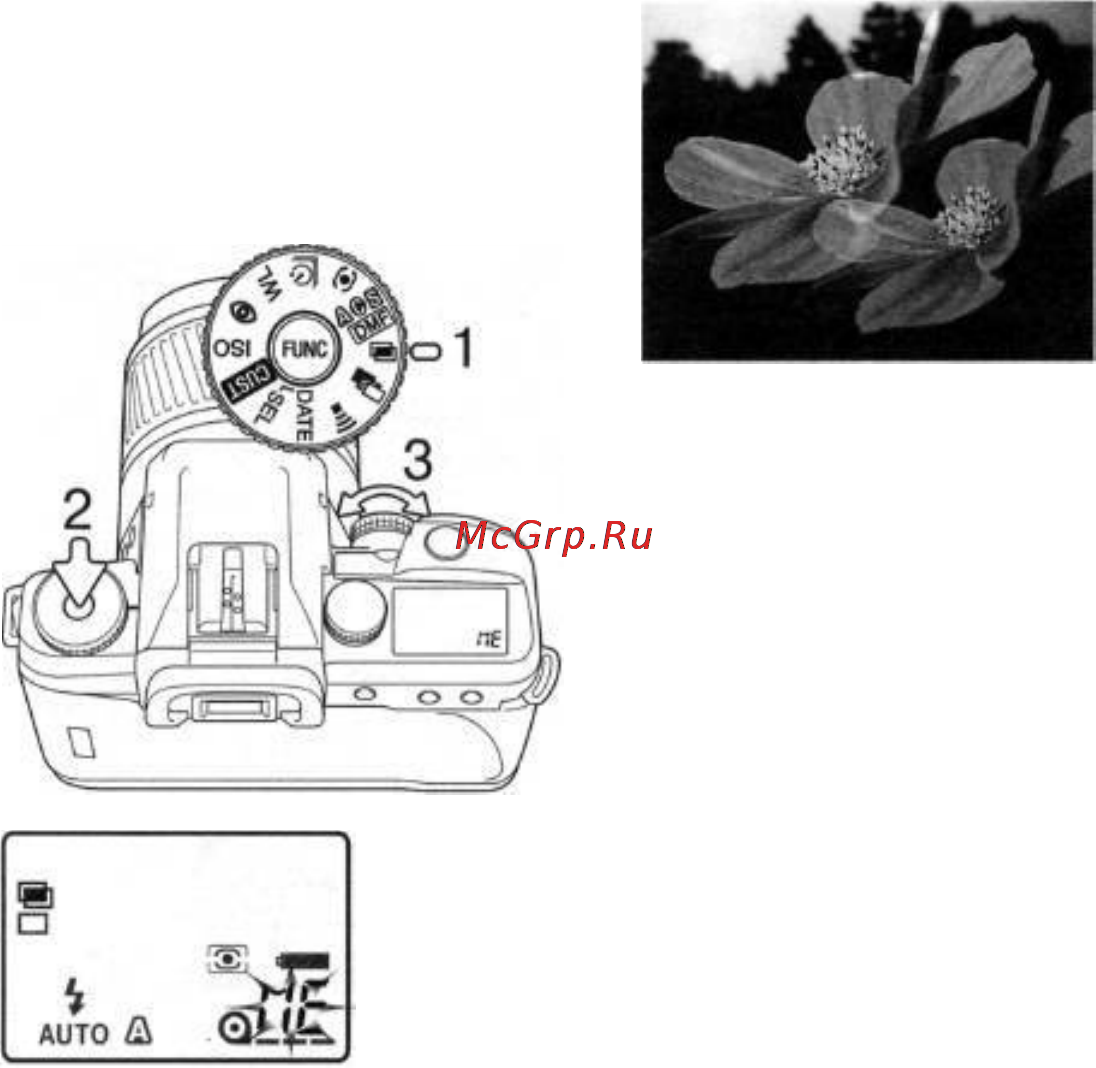 Konica Minolta Dynax 60 [53/84] Мультиэкспозиция