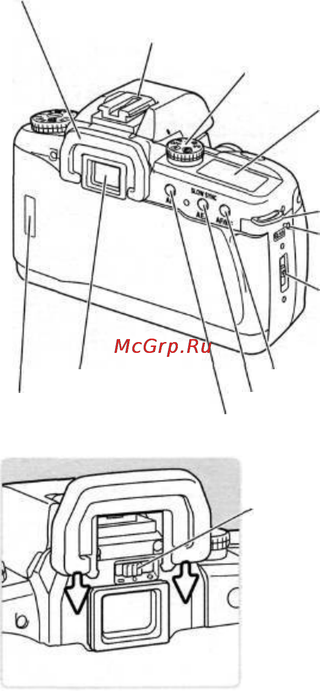 Konica Minolta Dynax 60 Инструкция по эксплуатации онлайн [9/84] 31312