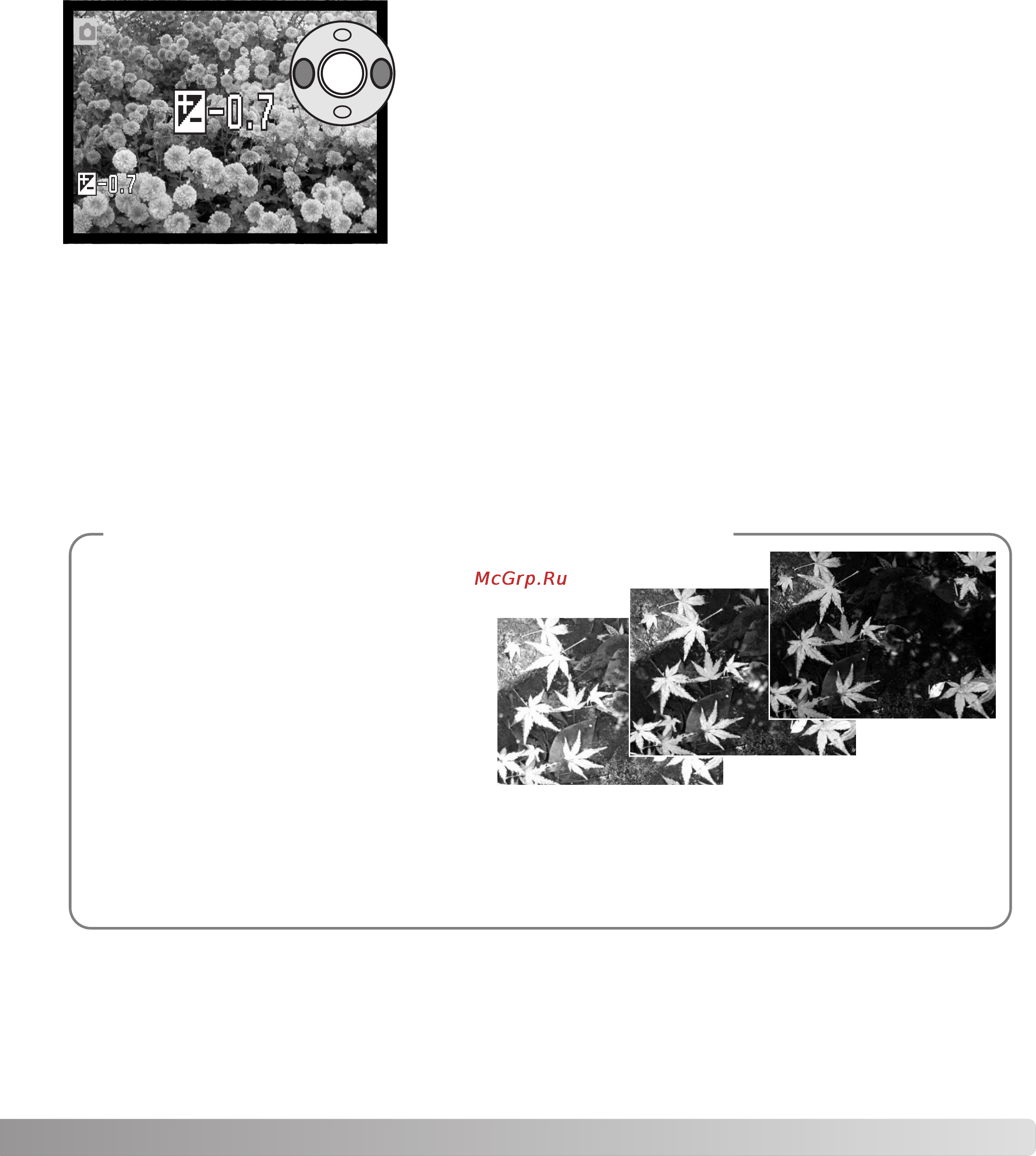 Konica Minolta Dimage Z3 [41/124] Коррекция экспозиции