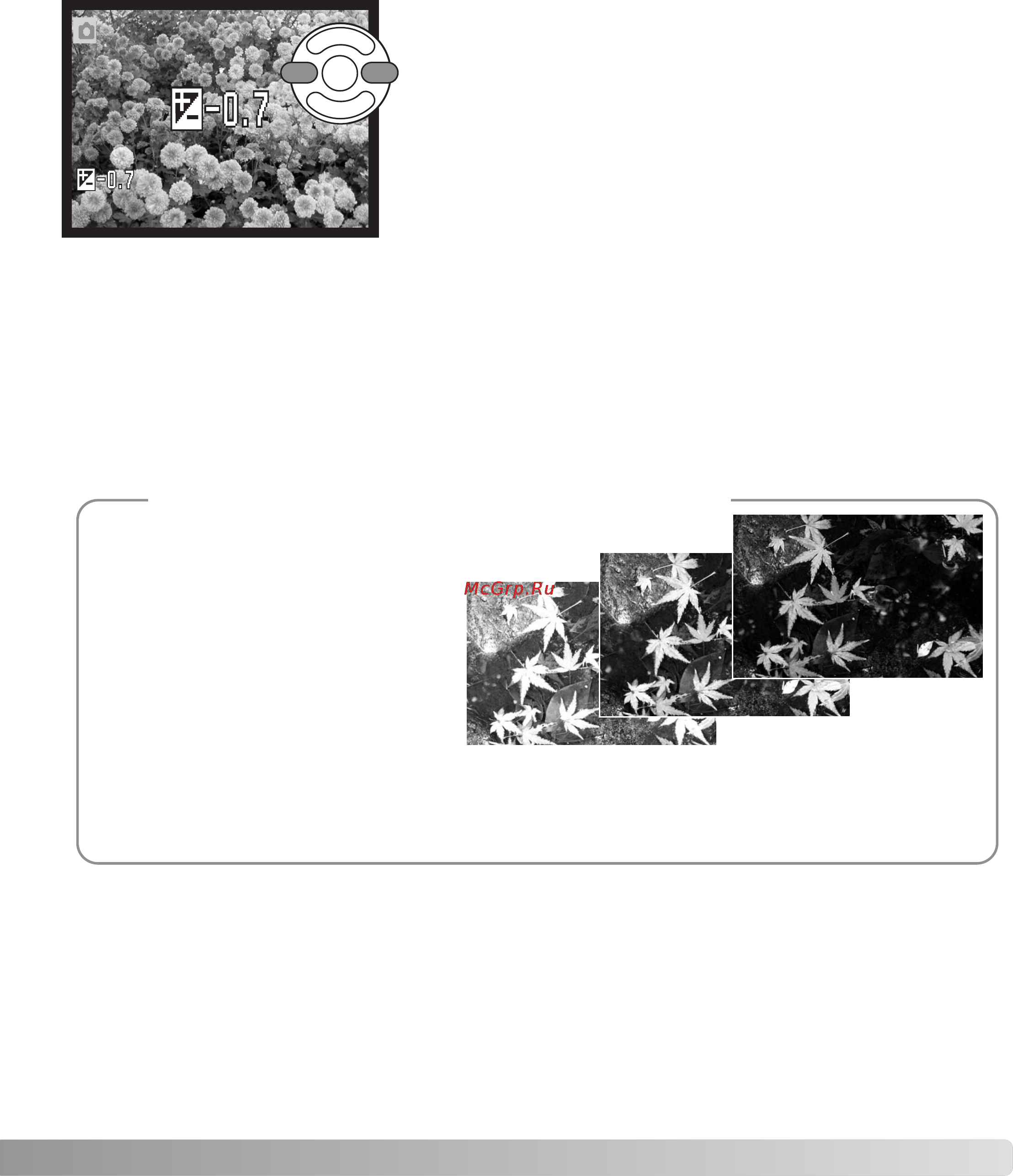 Konica Minolta Dimage Z2 [41/124] Рекомендации по работе с фотокамерой