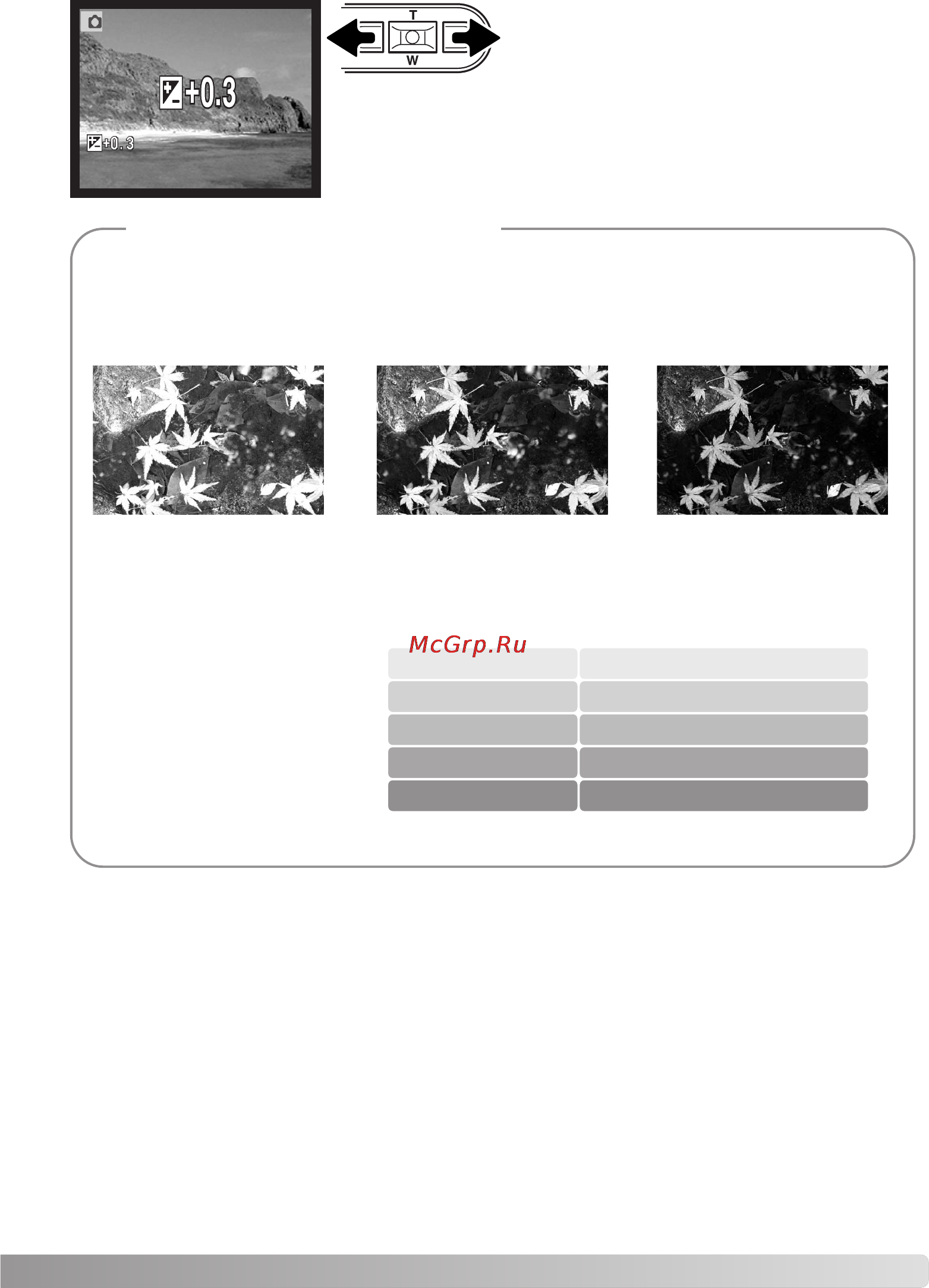 Konica Minolta Dimage Xg [41/132] Рекомендации по съемке
