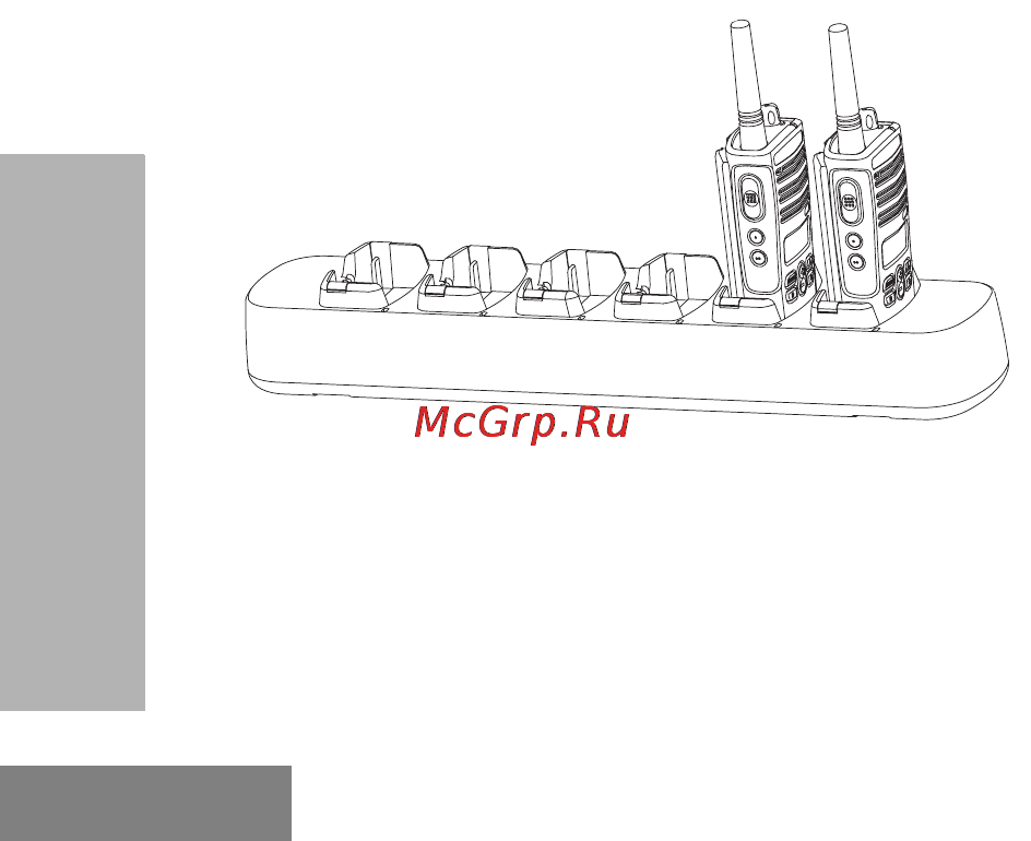 Motorola XTNiD [52/69] Клонирование радиостанций