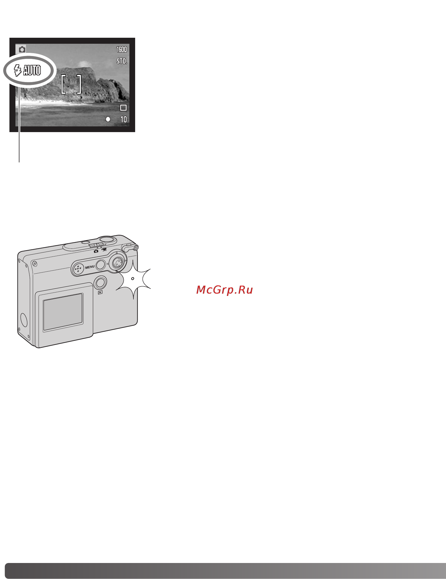 Konica Minolta Dimage X21 [28/112] Сигналы вспышки