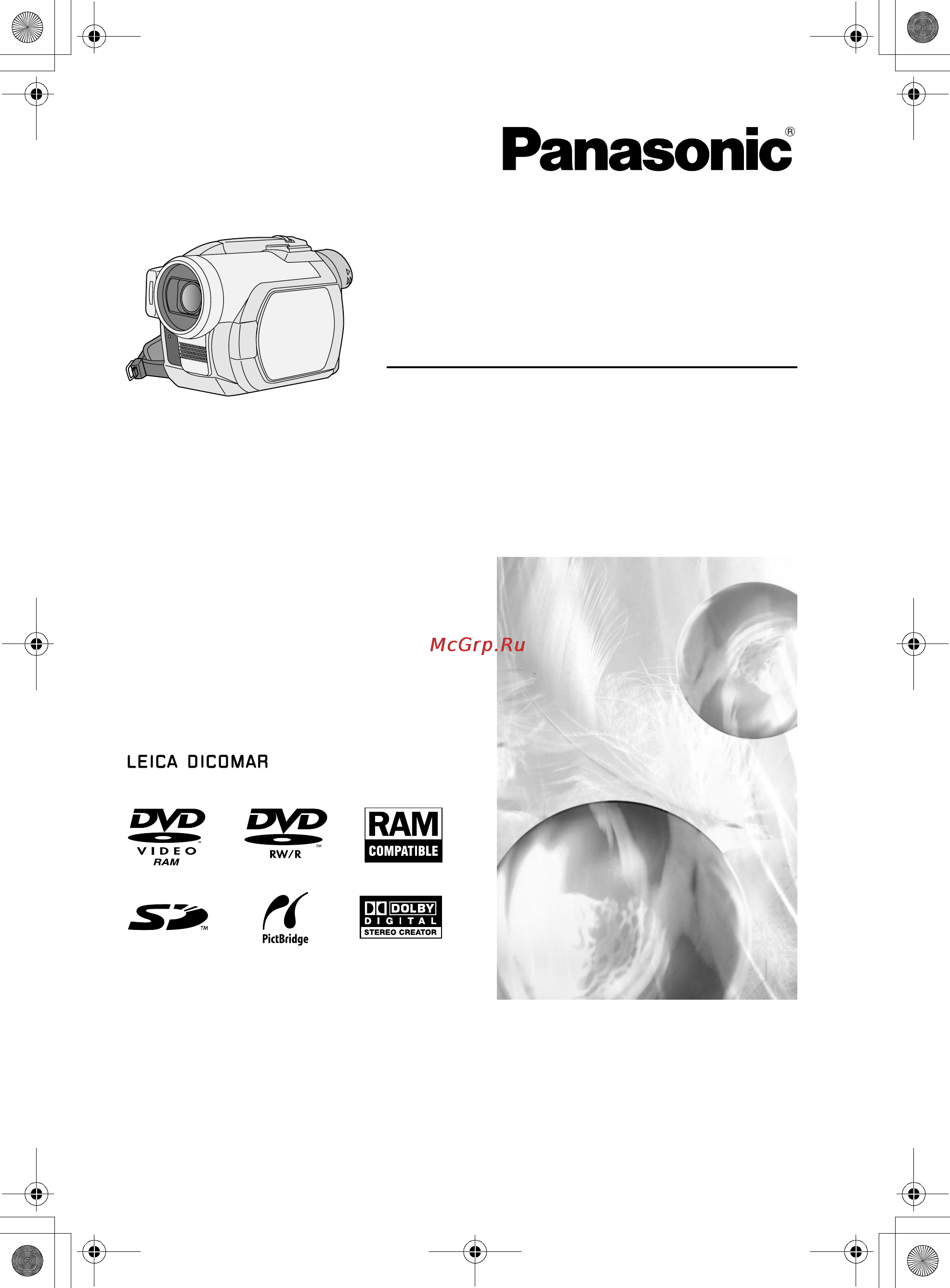 Panasonic VDR-D250EE Инструкция по эксплуатации онлайн