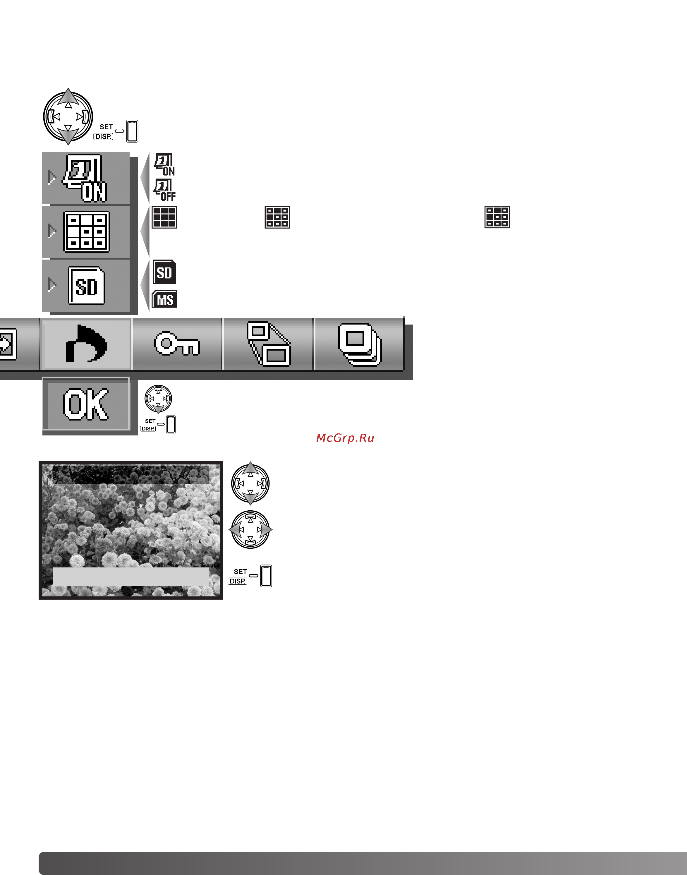 Konica Minolta Dimage G530 [58/102] Заказ на печать цифровых фотографий в формате dpof
