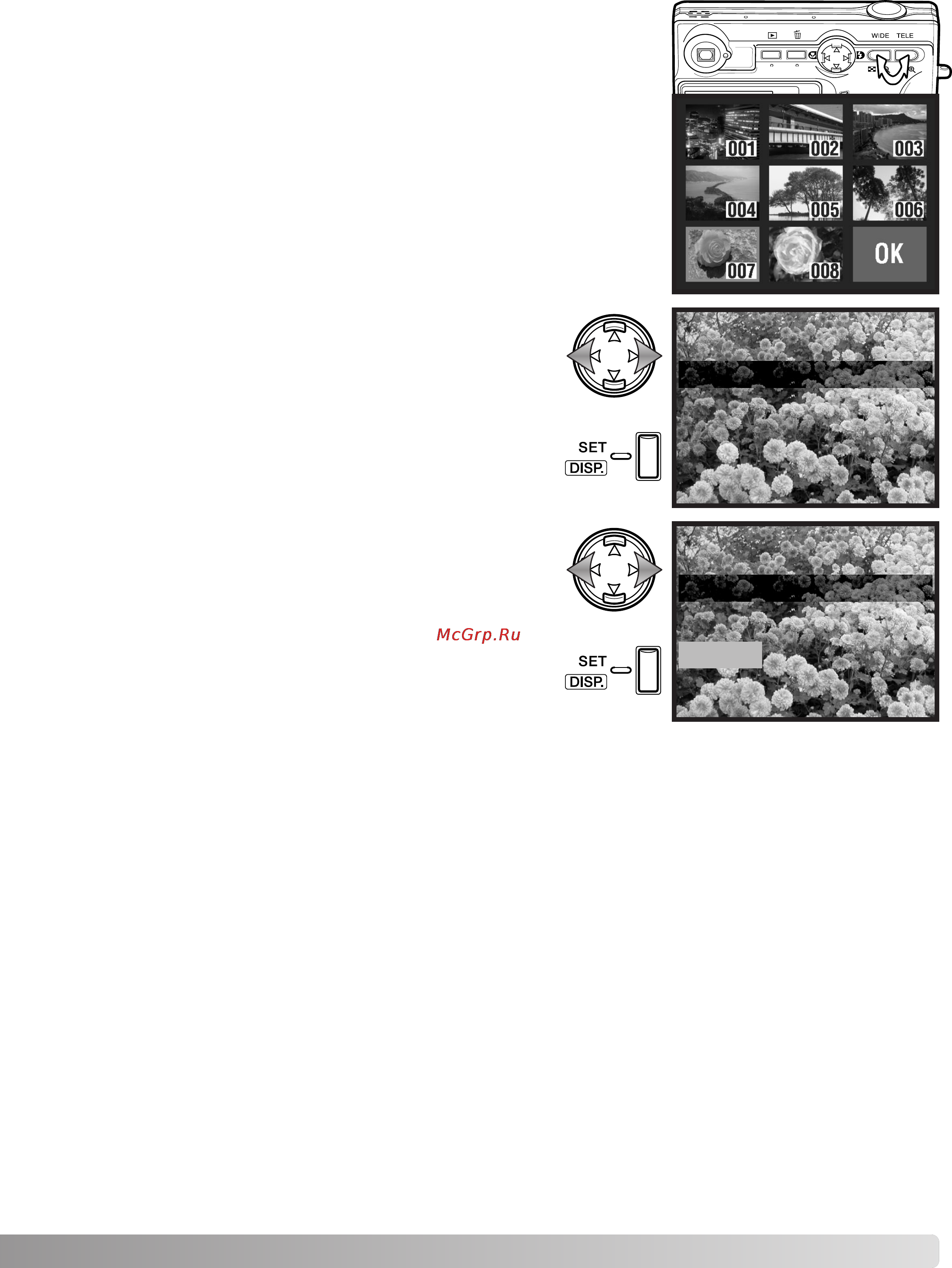 Konica Minolta Dimage G530 Инструкция по эксплуатации онлайн [59/102] 31644