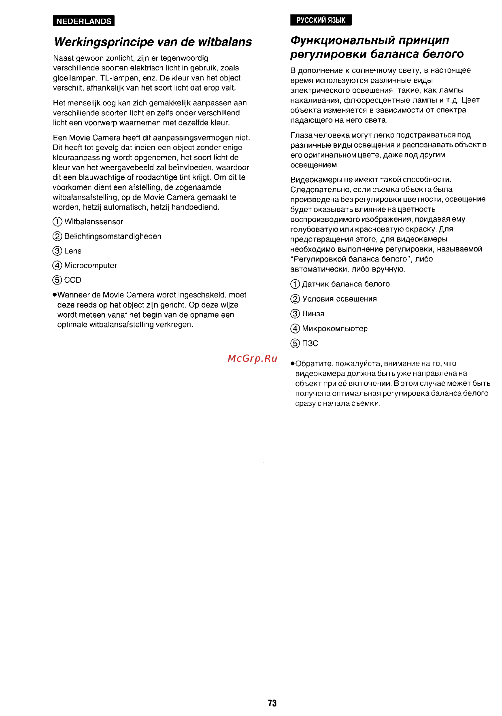 Panasonic NV-RX1 [69/113] Werkingsprincipe van de witbalans