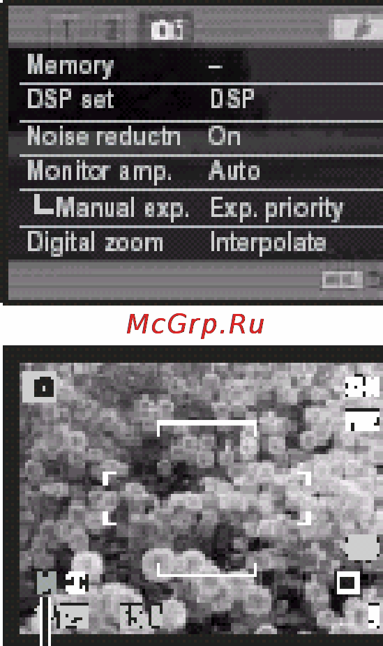 Konica Minolta Dimage A200 [101/172] Автоматическое усиление монитора