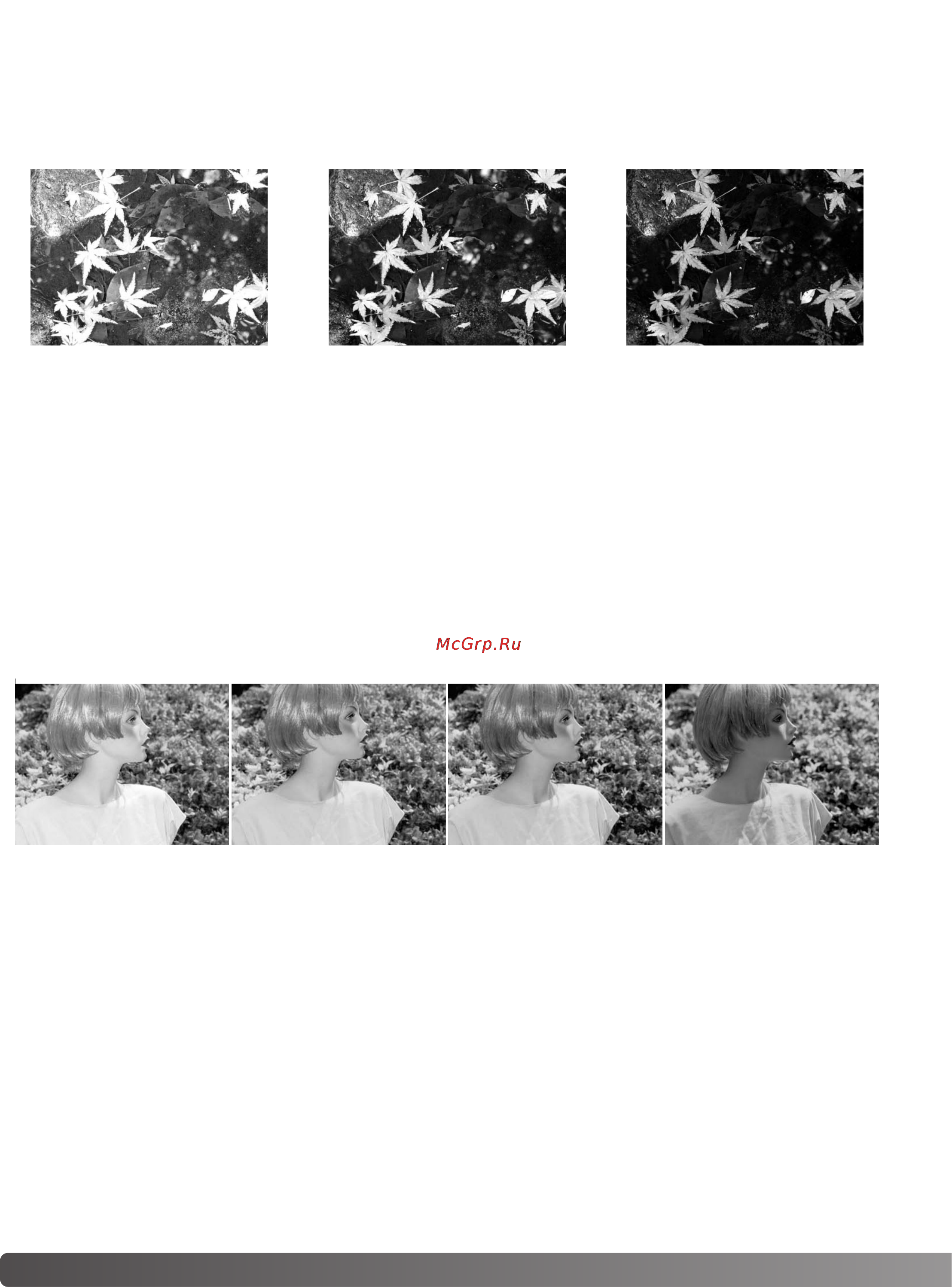 Konica Minolta Dimage A2 [110/180] О коррекции экспозиции и коррекции экспозиции вспышки
