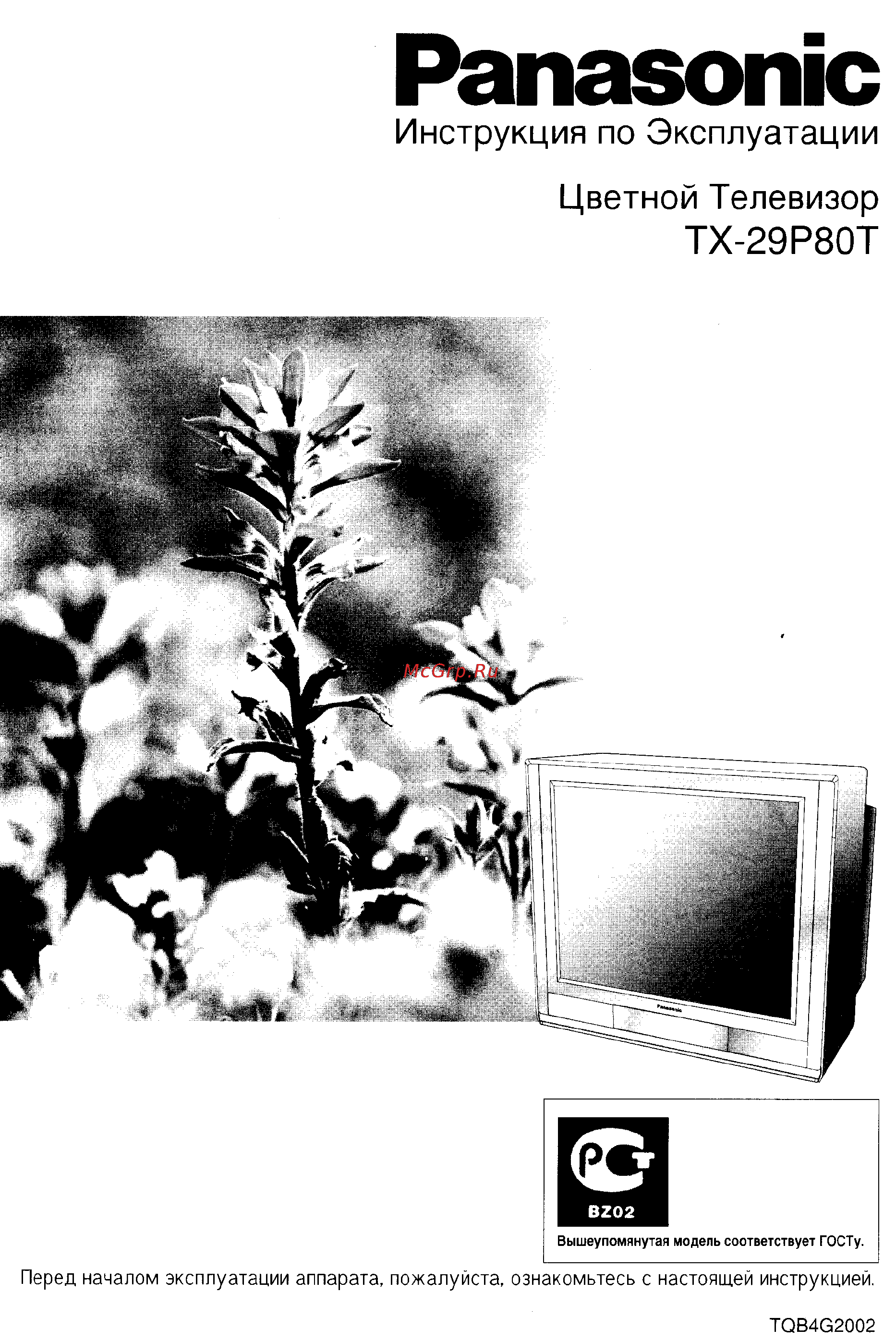 Panasonic TX-29P80T Инструкция по эксплуатации онлайн