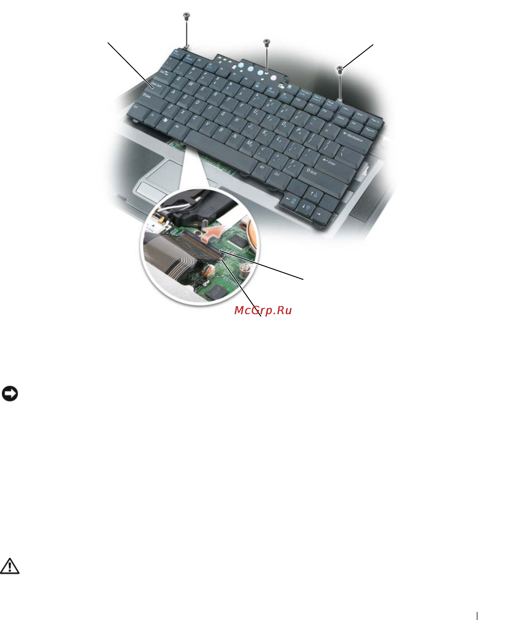 Dell Latitude D531 [135/174] Внутренняя плата с беспроводной технологией bluetoot