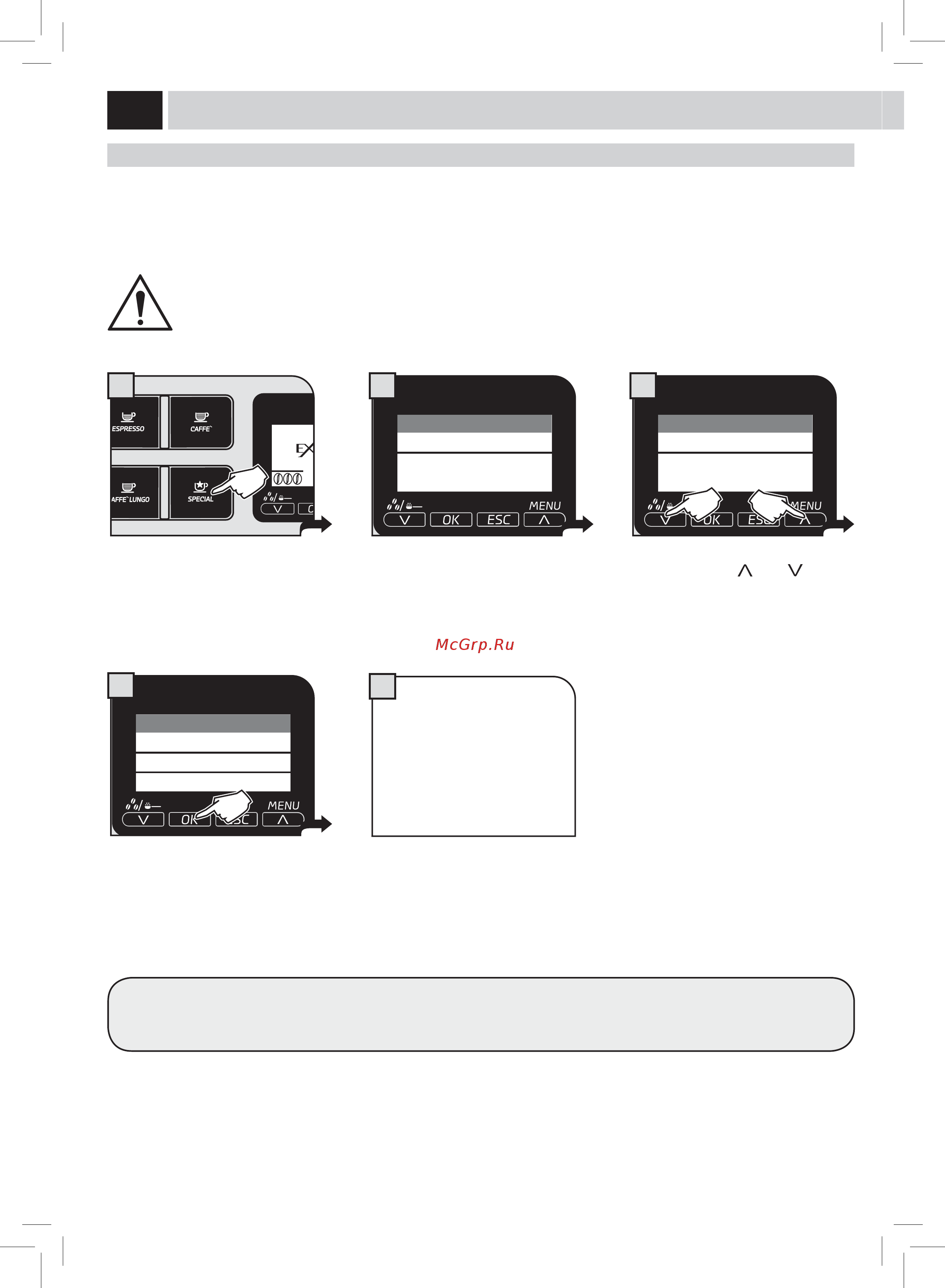 Philips Saeco HD8854/09 [21/48] Напитки special
