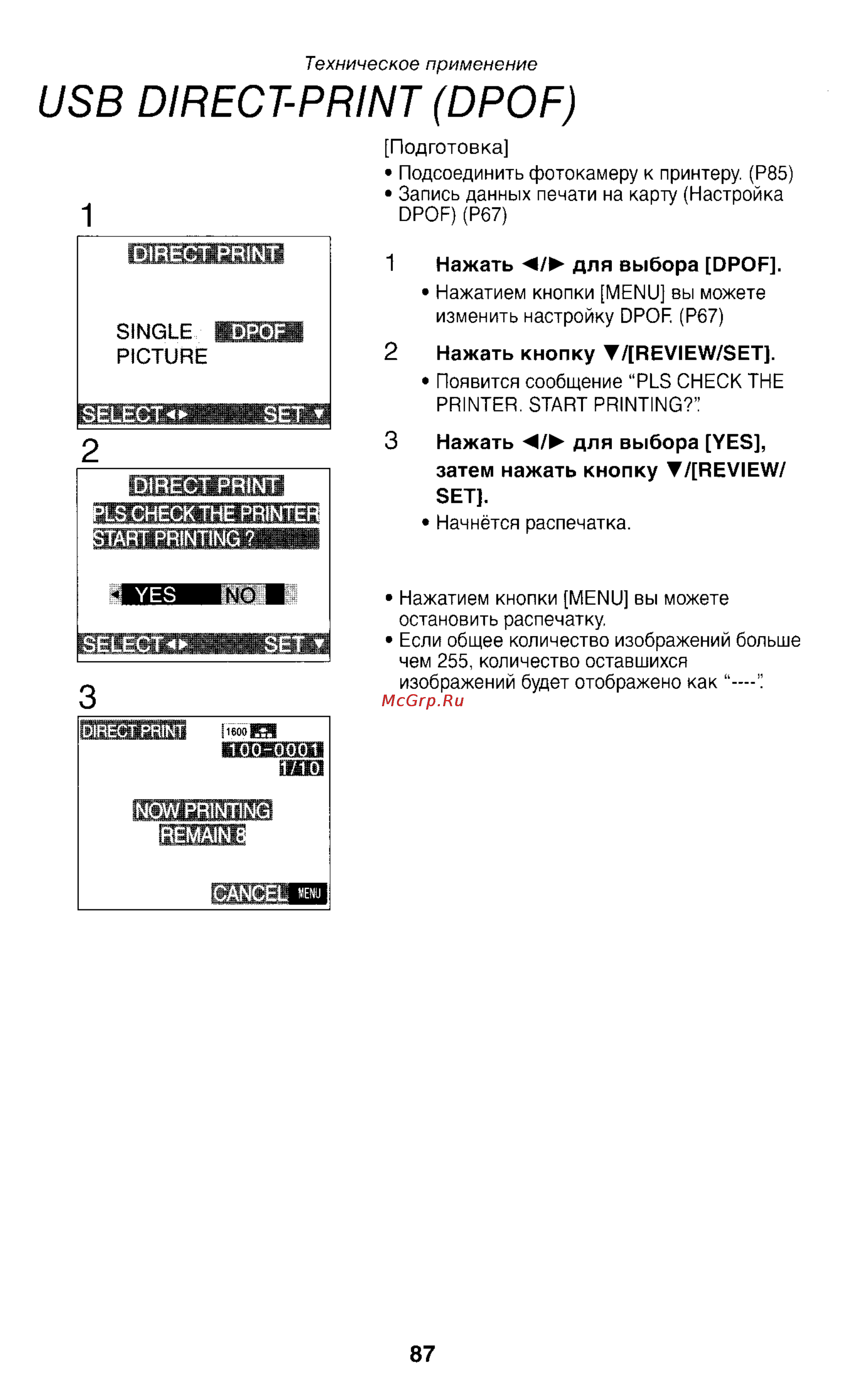 Panasonic LUMIX DMC-FZ1EN Инструкция по эксплуатации онлайн [87/150] 33066