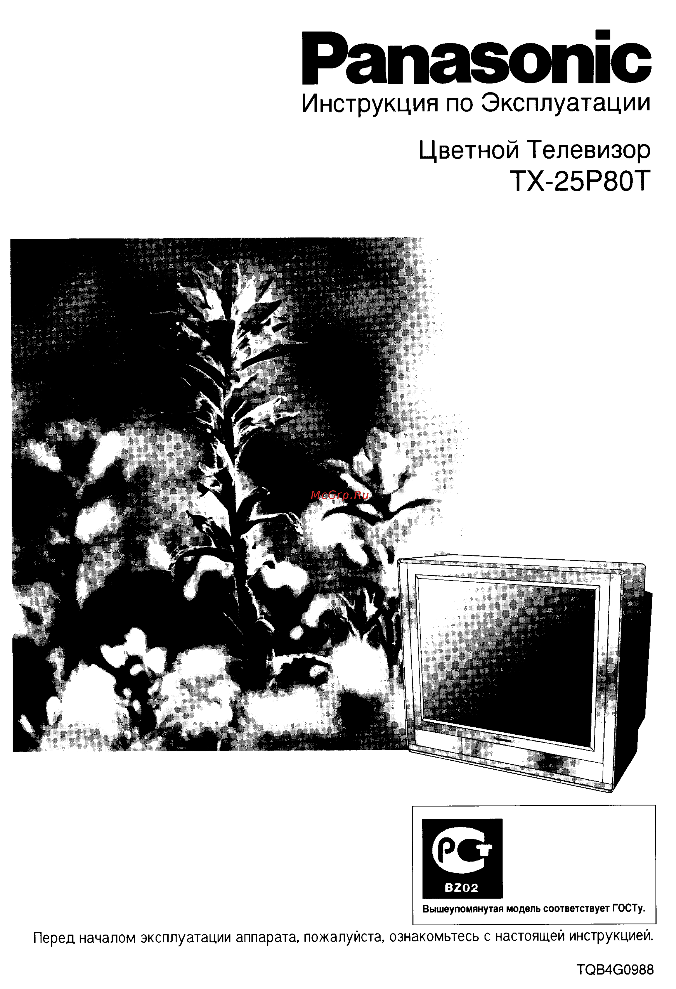 Panasonic TX-25P80T Инструкция по эксплуатации онлайн
