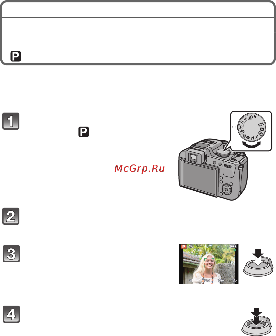 Panasonic LUMIX DMC-FZ45 [21/36] Режим программы ае
