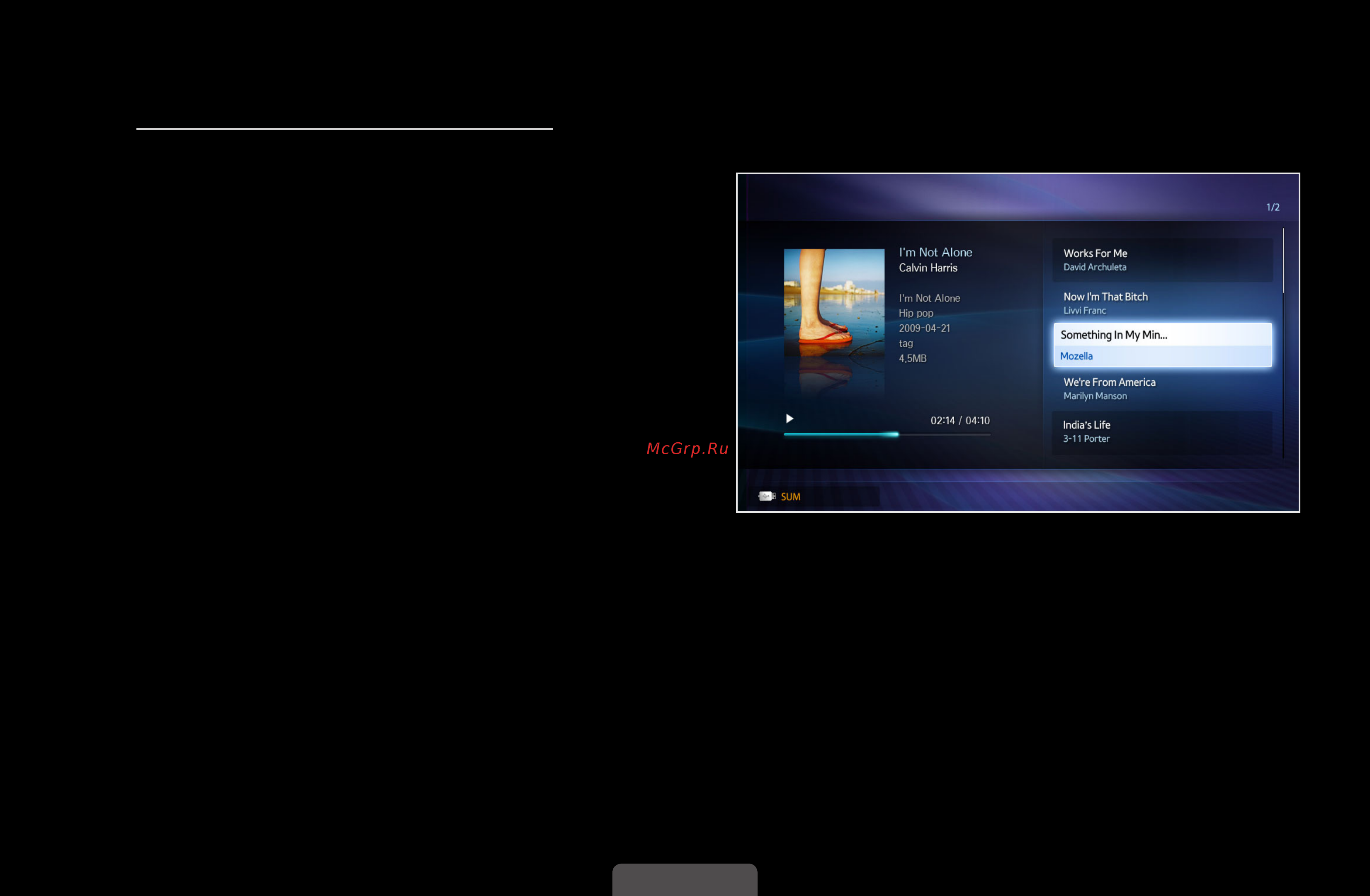 Samsung UE-32 D5000PW [156/210] Музыка