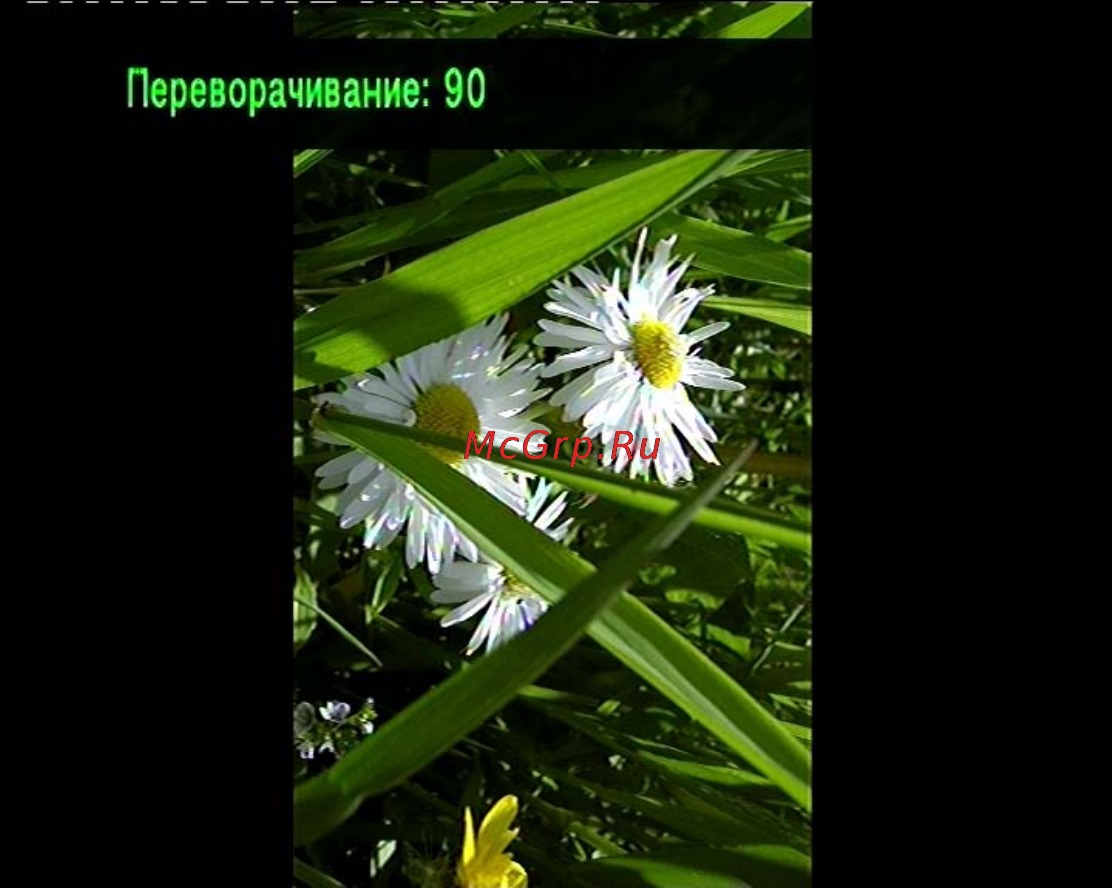 Digma HDMP-200 Инструкция по эксплуатации онлайн [43/67] 35580