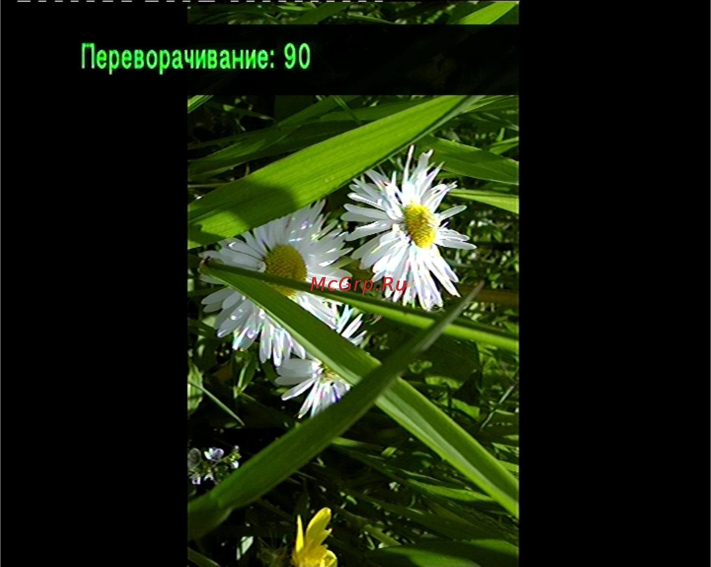 Digma HDMP-301 Инструкция по эксплуатации онлайн [39/65] 35694