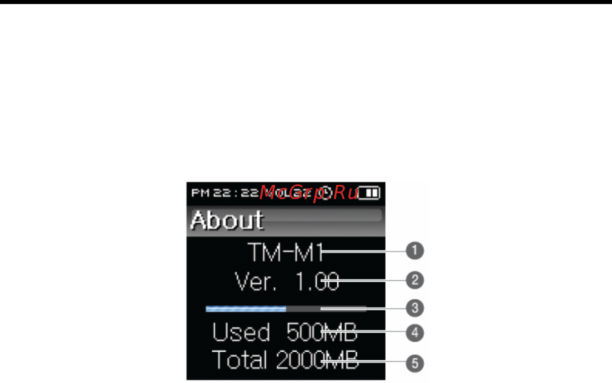 Nexx NF-590 [34/49] Информация о плеере